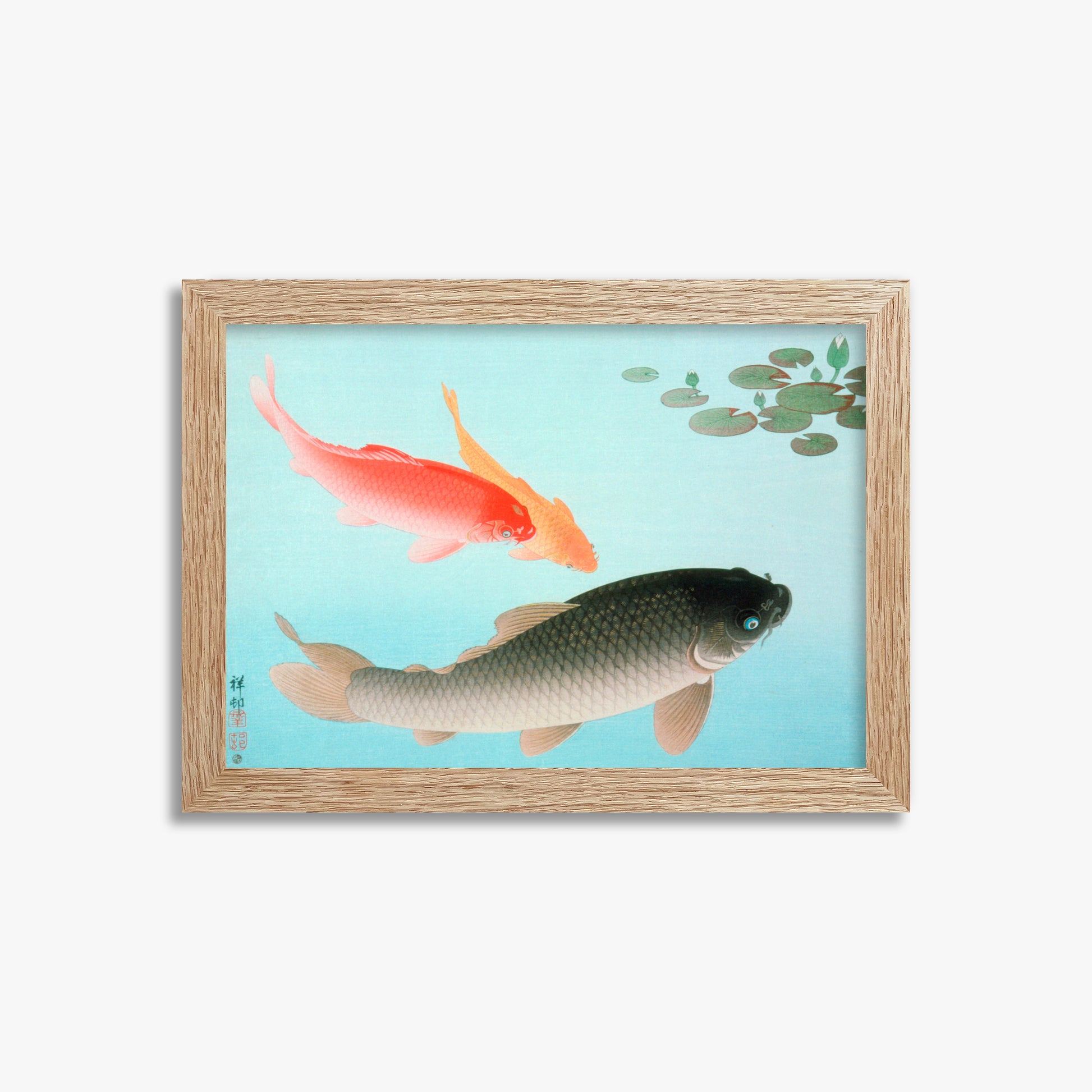 Ohara Koson: Common and Golden Carp, 21x30cm Framed Art Reproduction With Raw Oak Frame