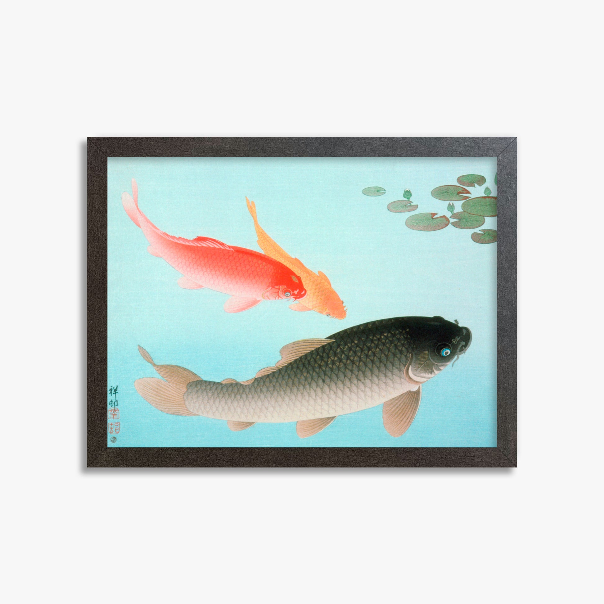 Ohara Koson: Common and Golden Carp, 30x40cm Framed Art Reproduction With Espresso Frame