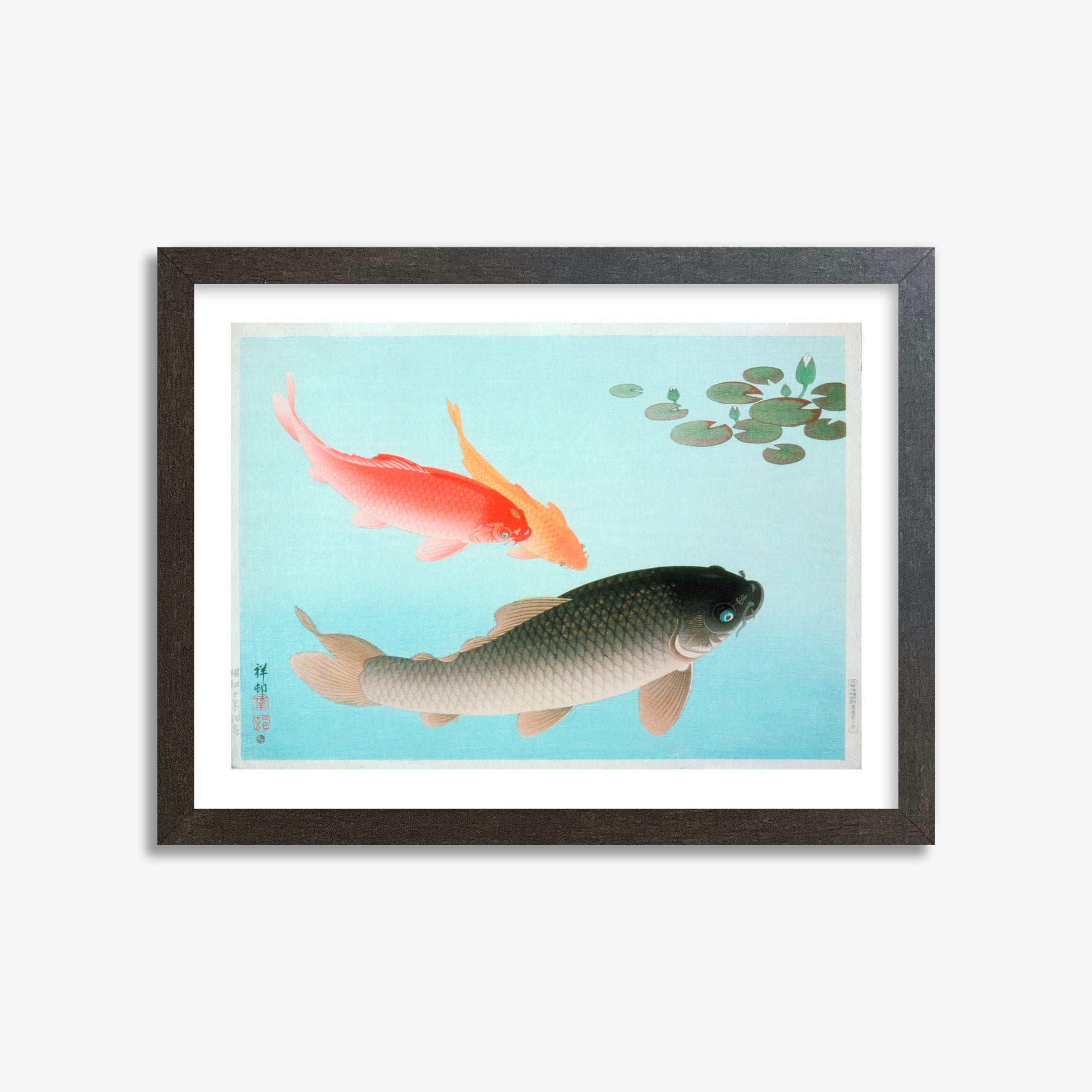 Ohara Koson: Common and Golden Carp, 30x40cm Framed Art Reproduction With Espresso Frame