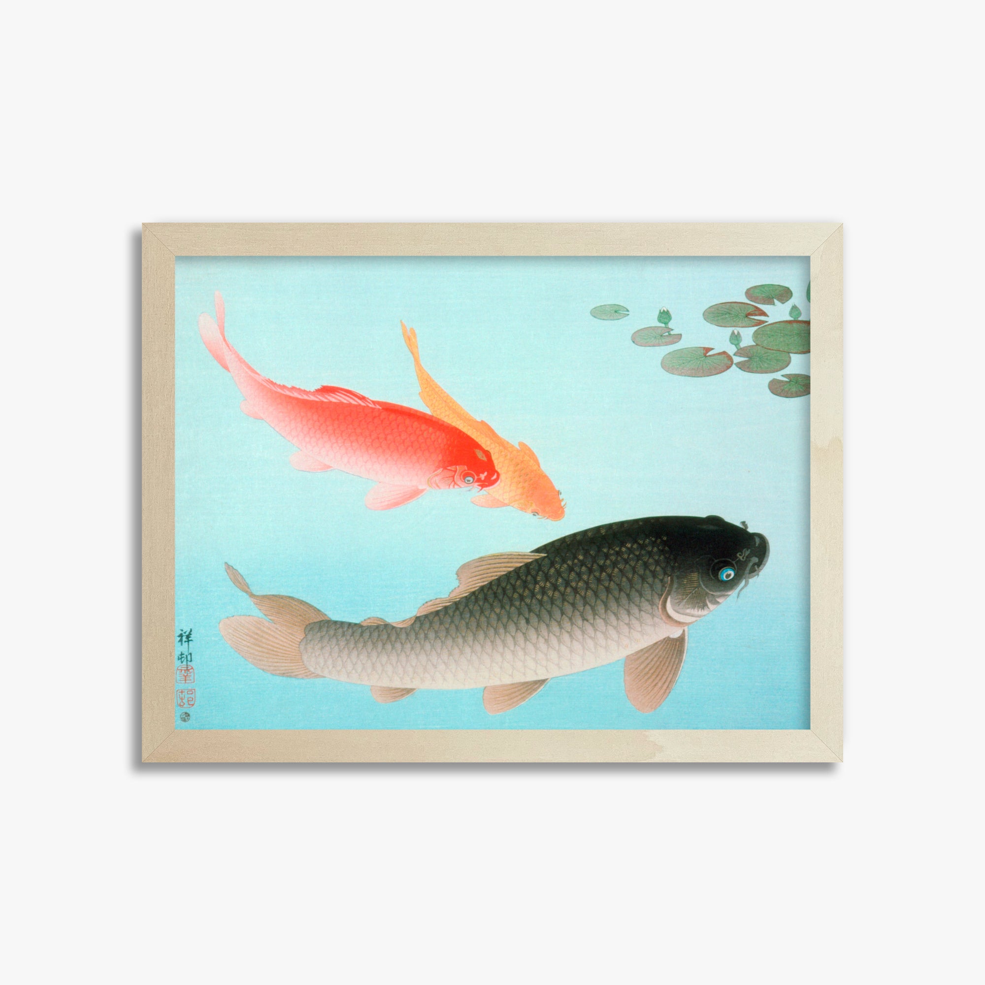 Ohara Koson: Common and Golden Carp, 30x40cm Framed Art Reproduction With Lime Wood Frame
