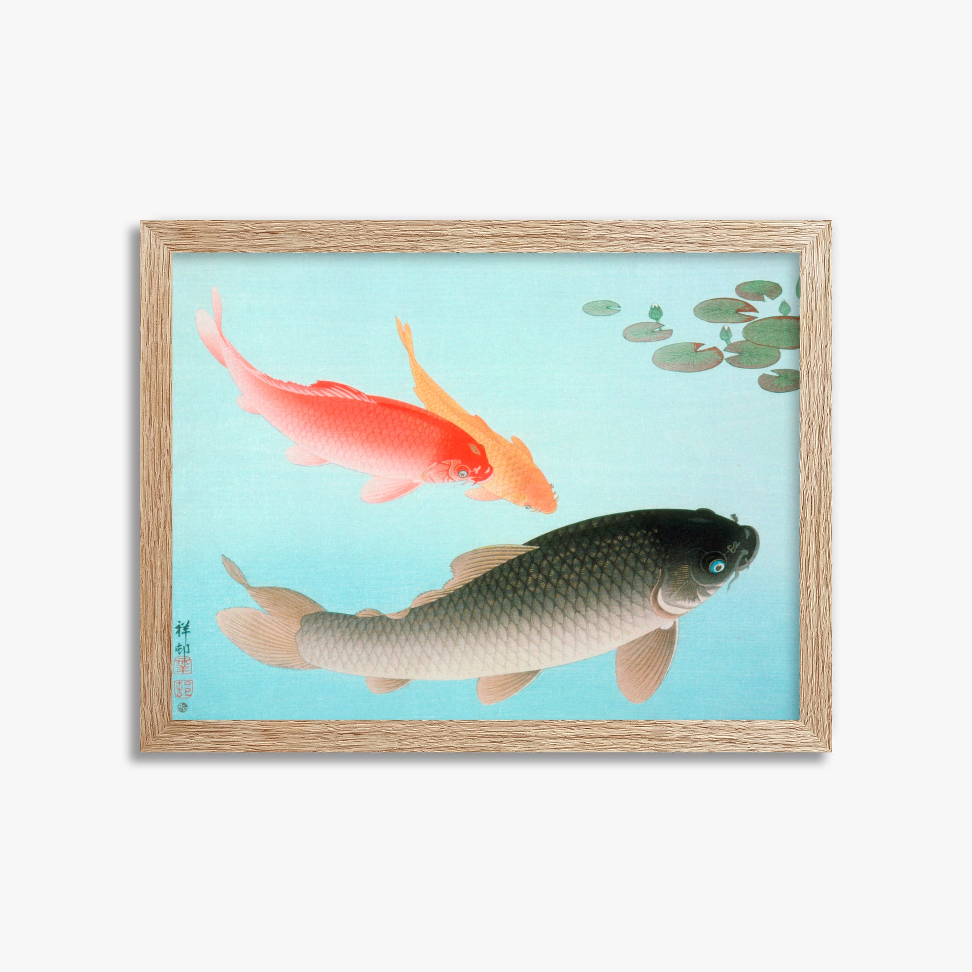 Ohara Koson: Common and Golden Carp, 30x40cm Framed Art Reproduction With Raw Oak Frame