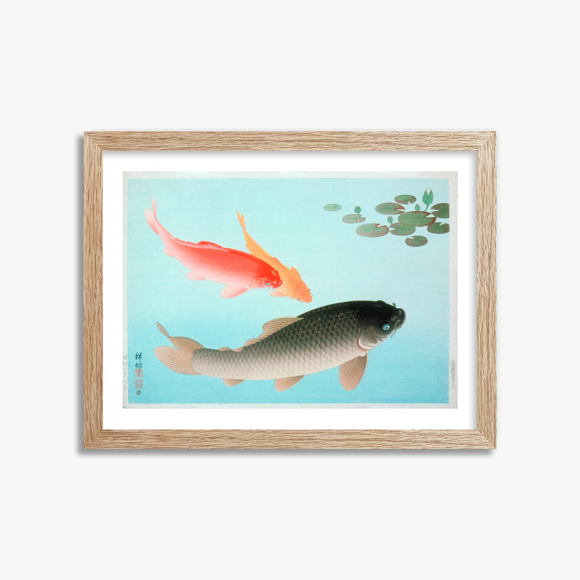 Ohara Koson: Common and Golden Carp, 30x40cm Framed Art Reproduction With Raw Oak Frame
