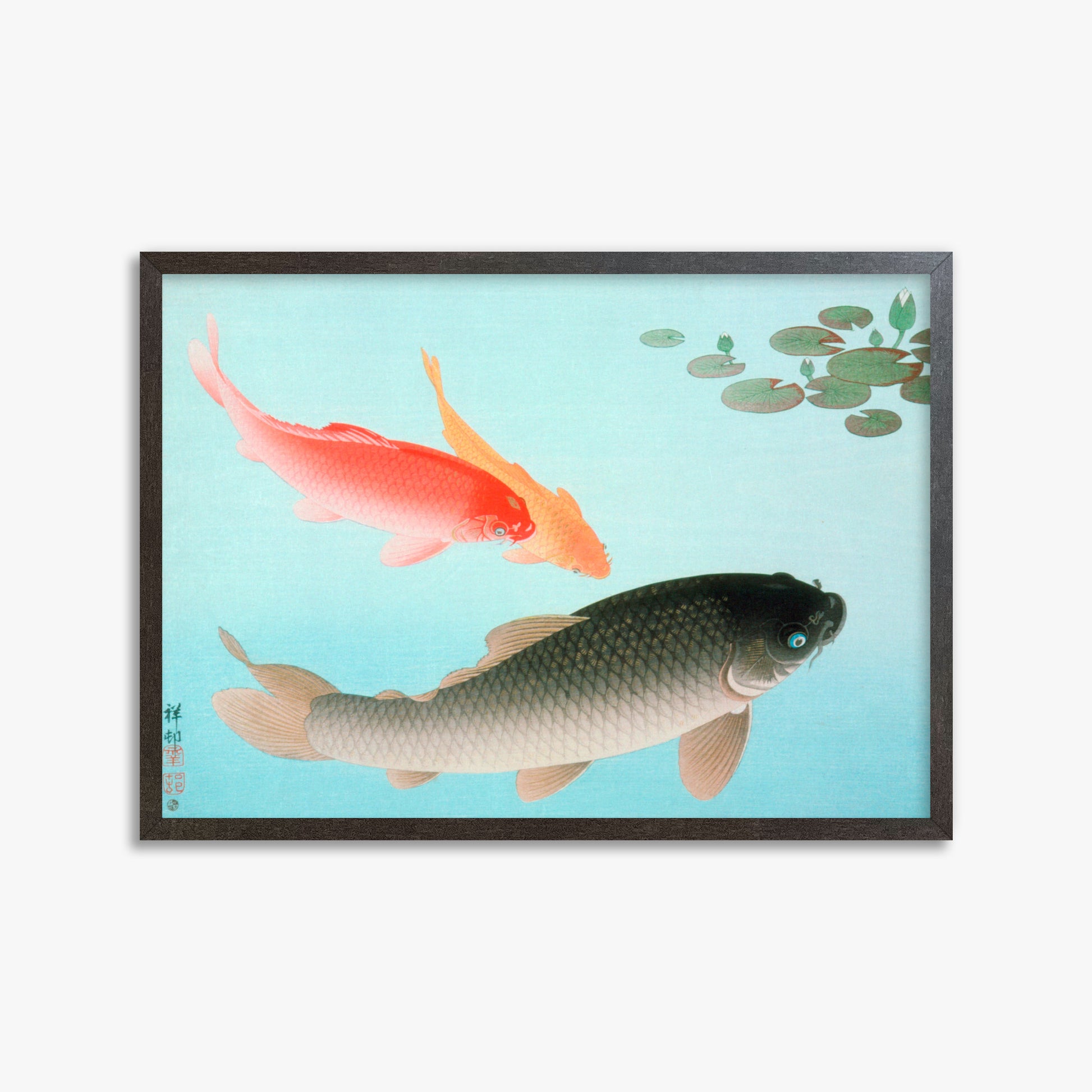 Ohara Koson: Common and Golden Carp, 50x70cm Framed Art Reproduction With Espresso Frame