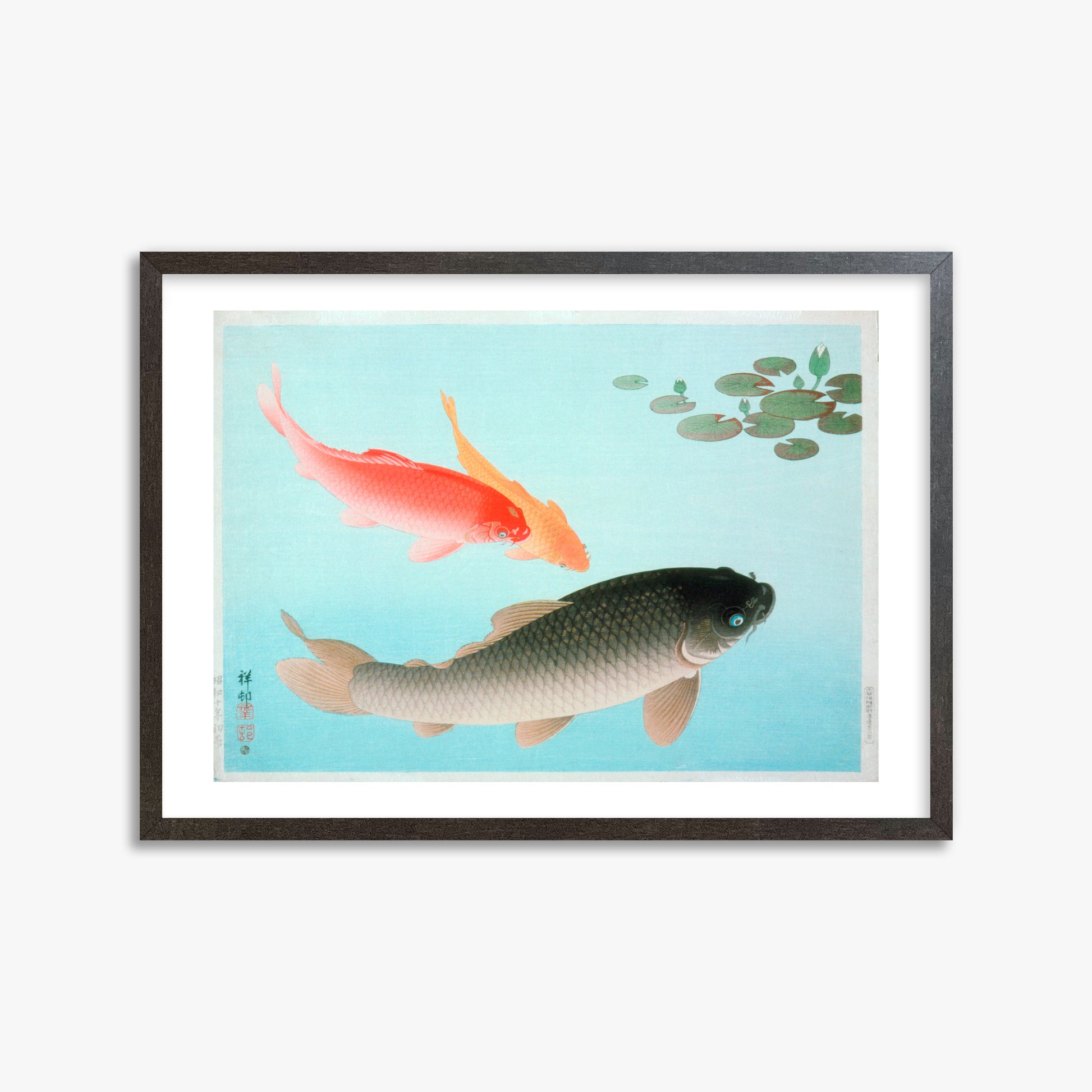 Ohara Koson: Common and Golden Carp, 50x70cm Framed Art Reproduction With Espresso Frame