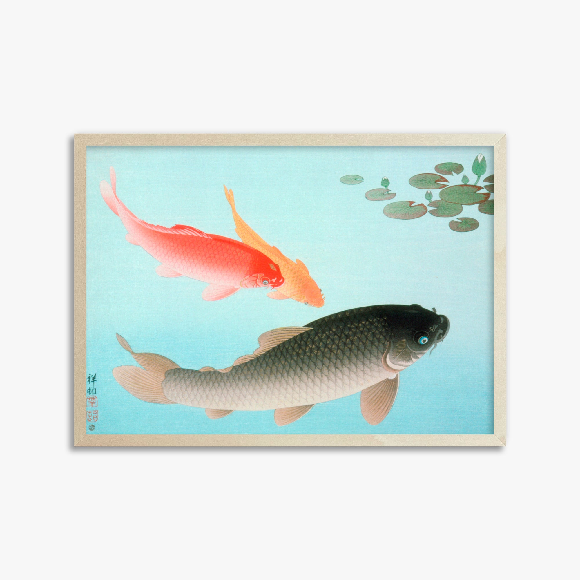Ohara Koson: Common and Golden Carp, 50x70cm Framed Art Reproduction With Lime Wood Frame