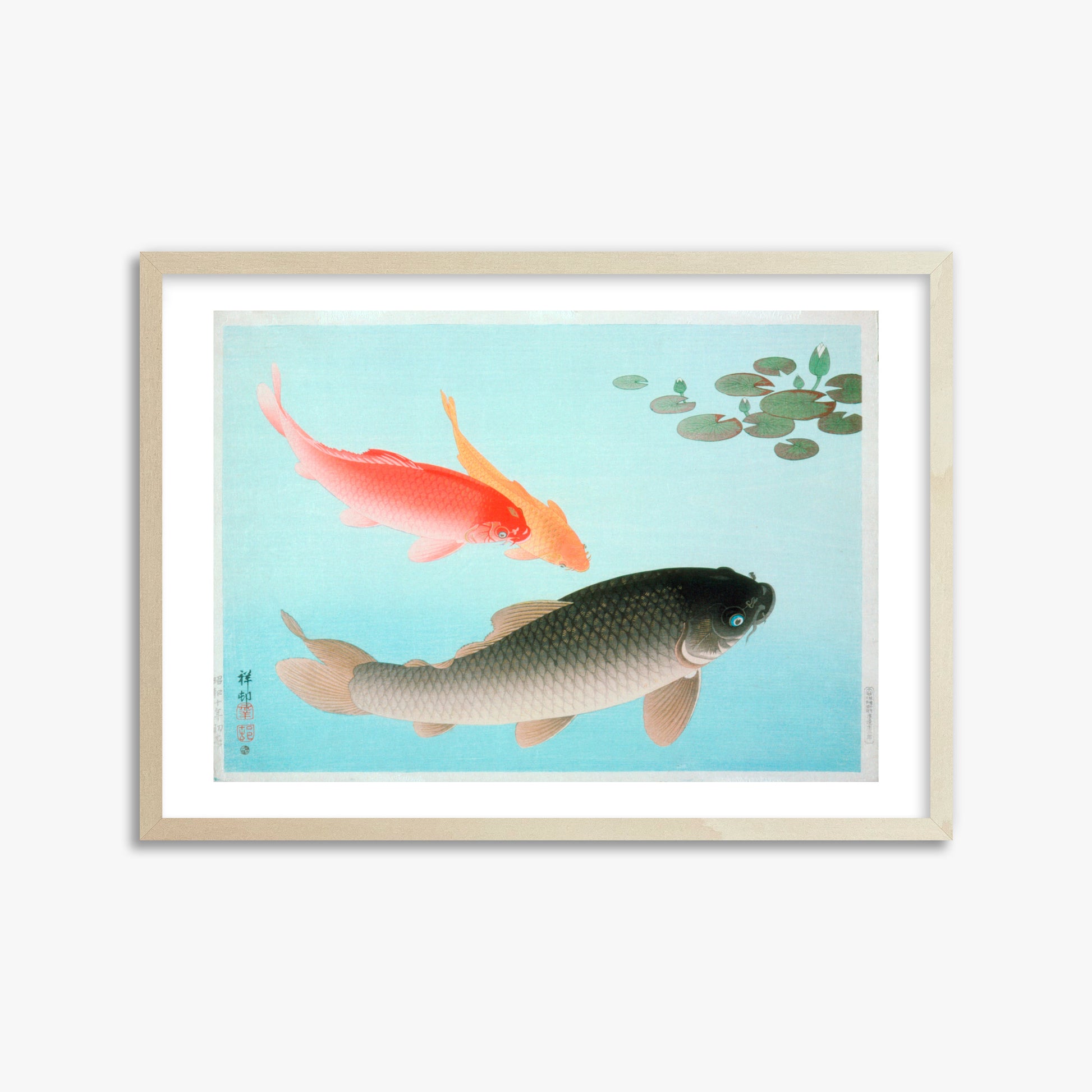Ohara Koson: Common and Golden Carp, 50x70cm Framed Art Reproduction With Lime Wood Frame