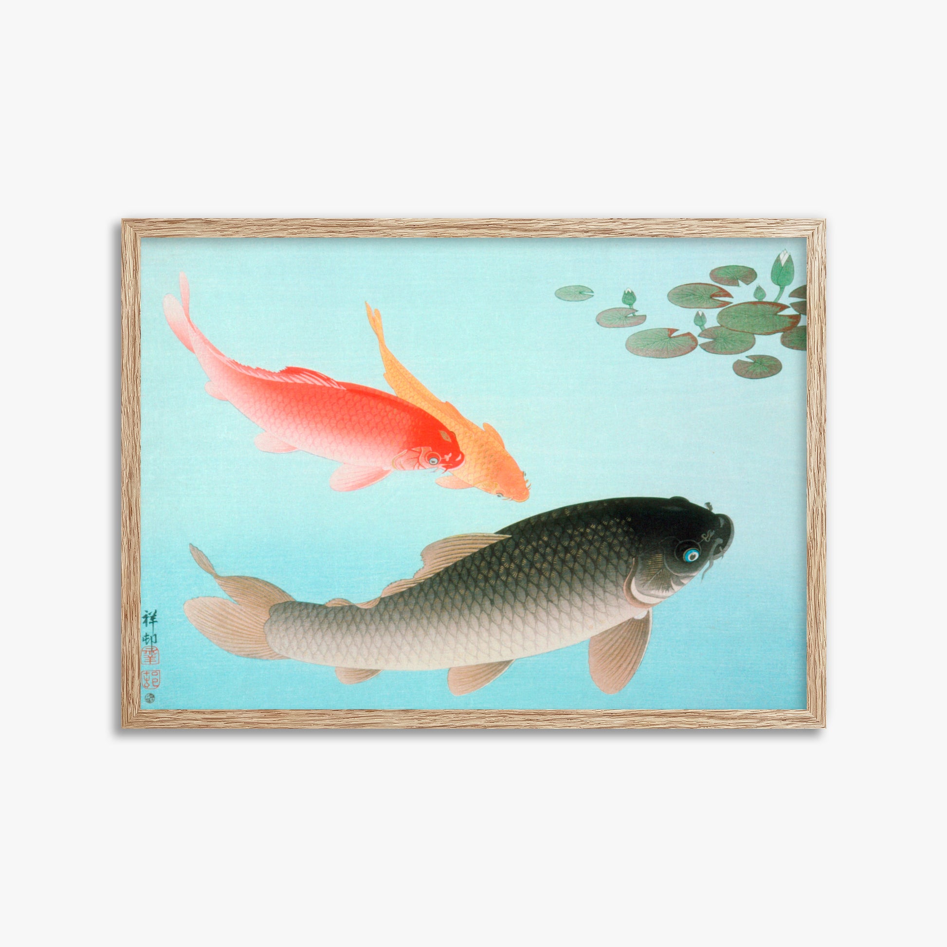Ohara Koson: Common and Golden Carp, 50x70cm Framed Art Reproduction With Raw Oak Frame