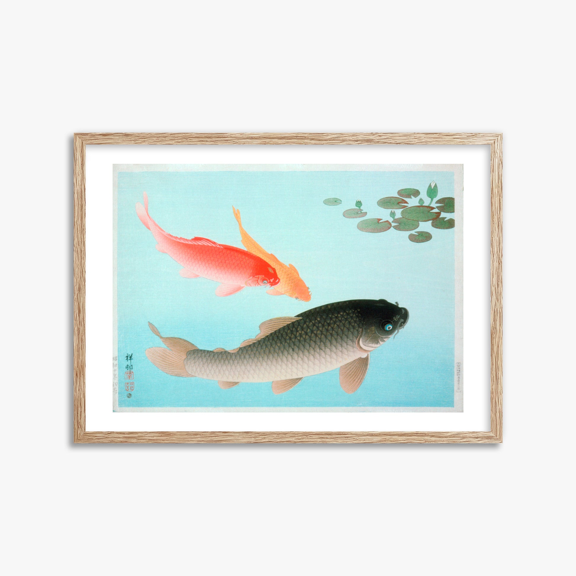 Ohara Koson: Common and Golden Carp, 50x70cm Framed Art Reproduction With Raw Oak Frame