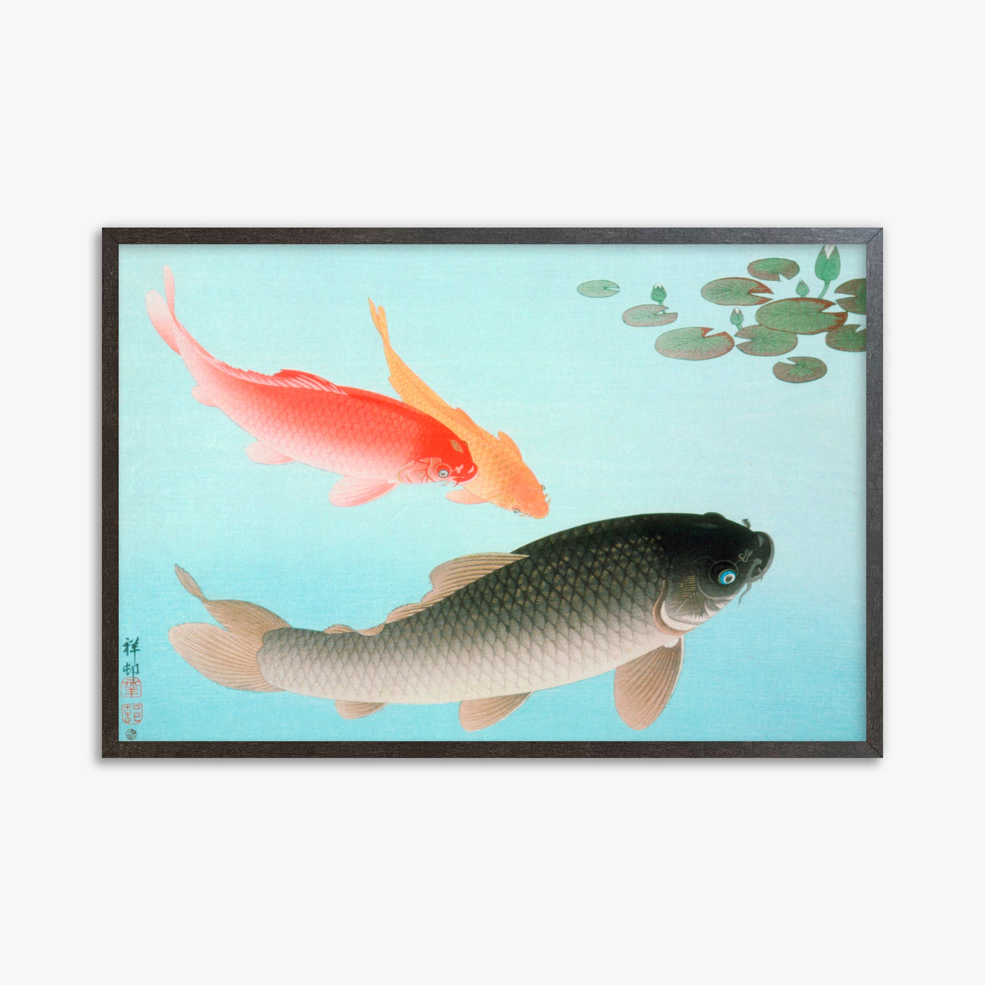 Ohara Koson: Common and Golden Carp, 61x91cm Framed Art Reproduction With Espresso Frame