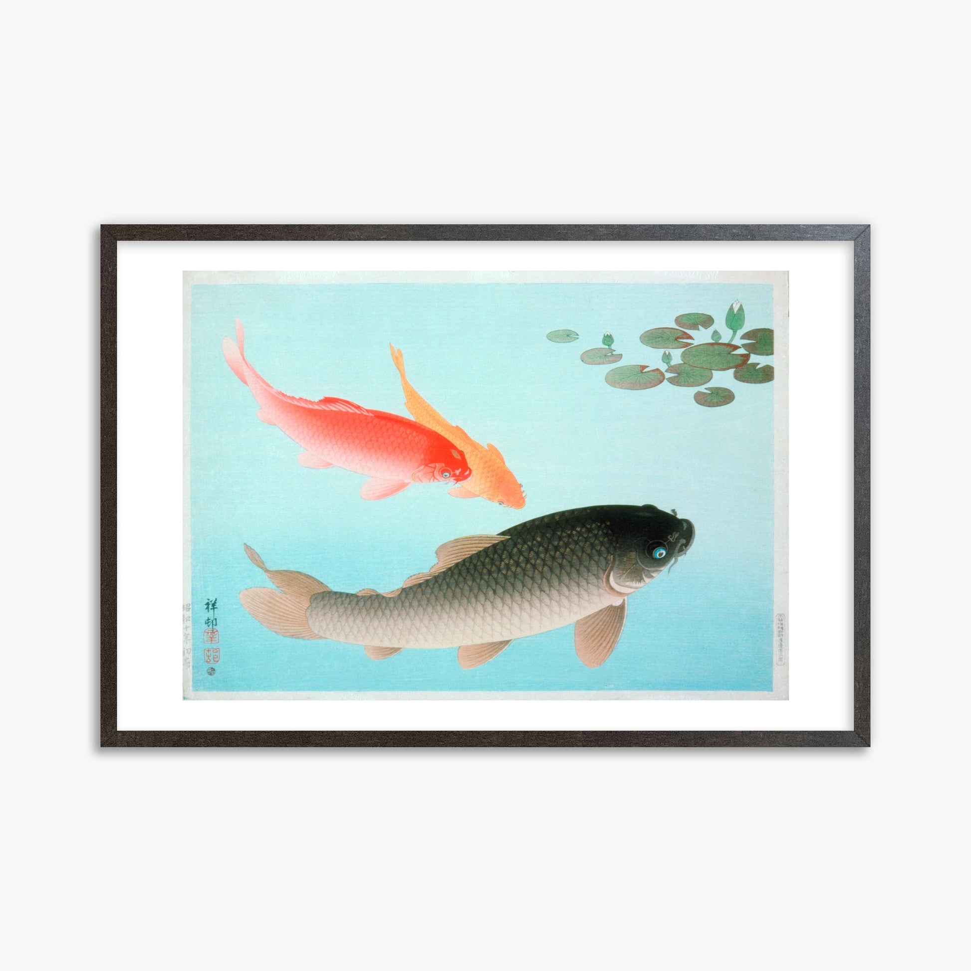 Ohara Koson: Common and Golden Carp, 61x91cm Framed Art Reproduction With Espresso Frame