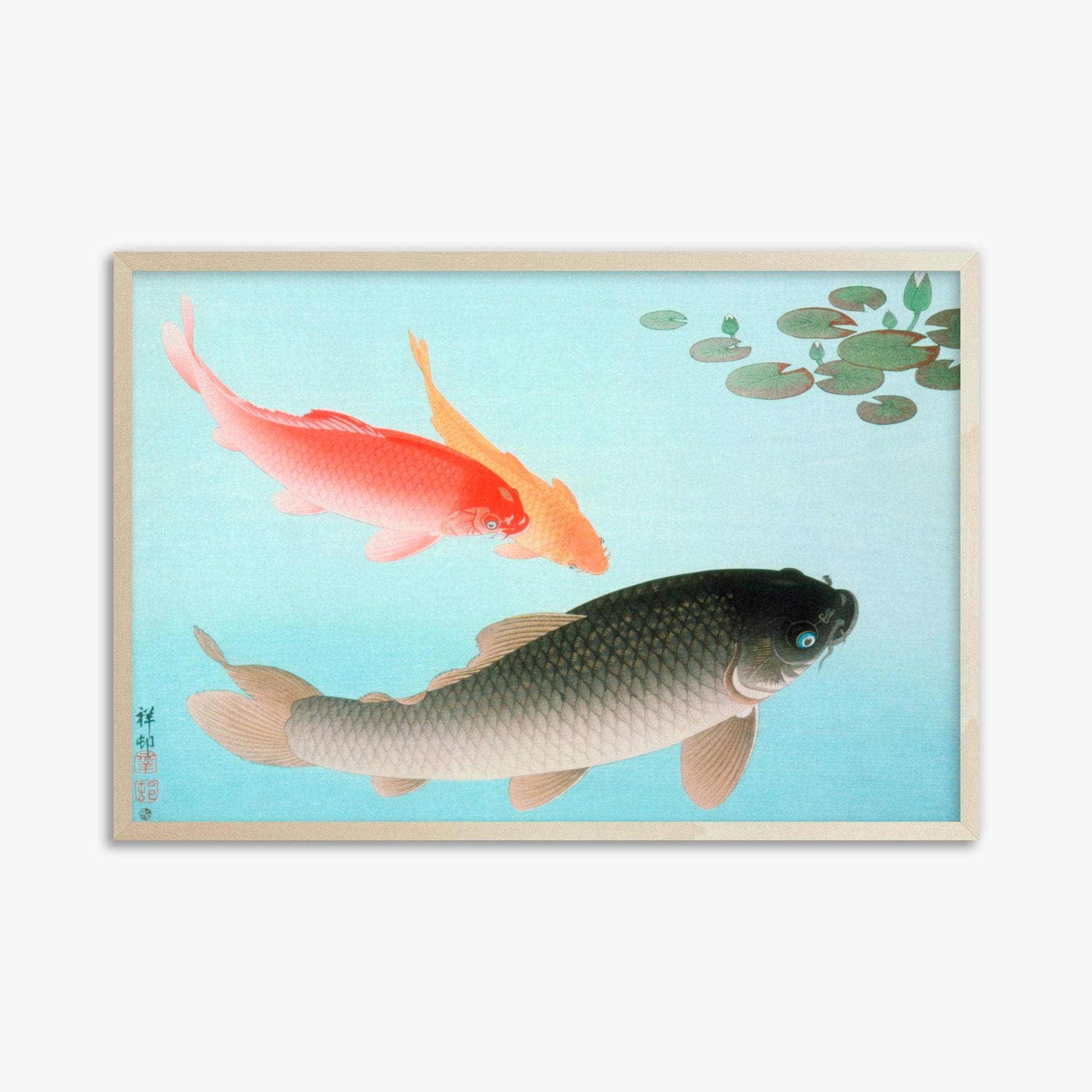 Ohara Koson: Common and Golden Carp, 61x91cm Framed Art Reproduction With Lime Wood Frame
