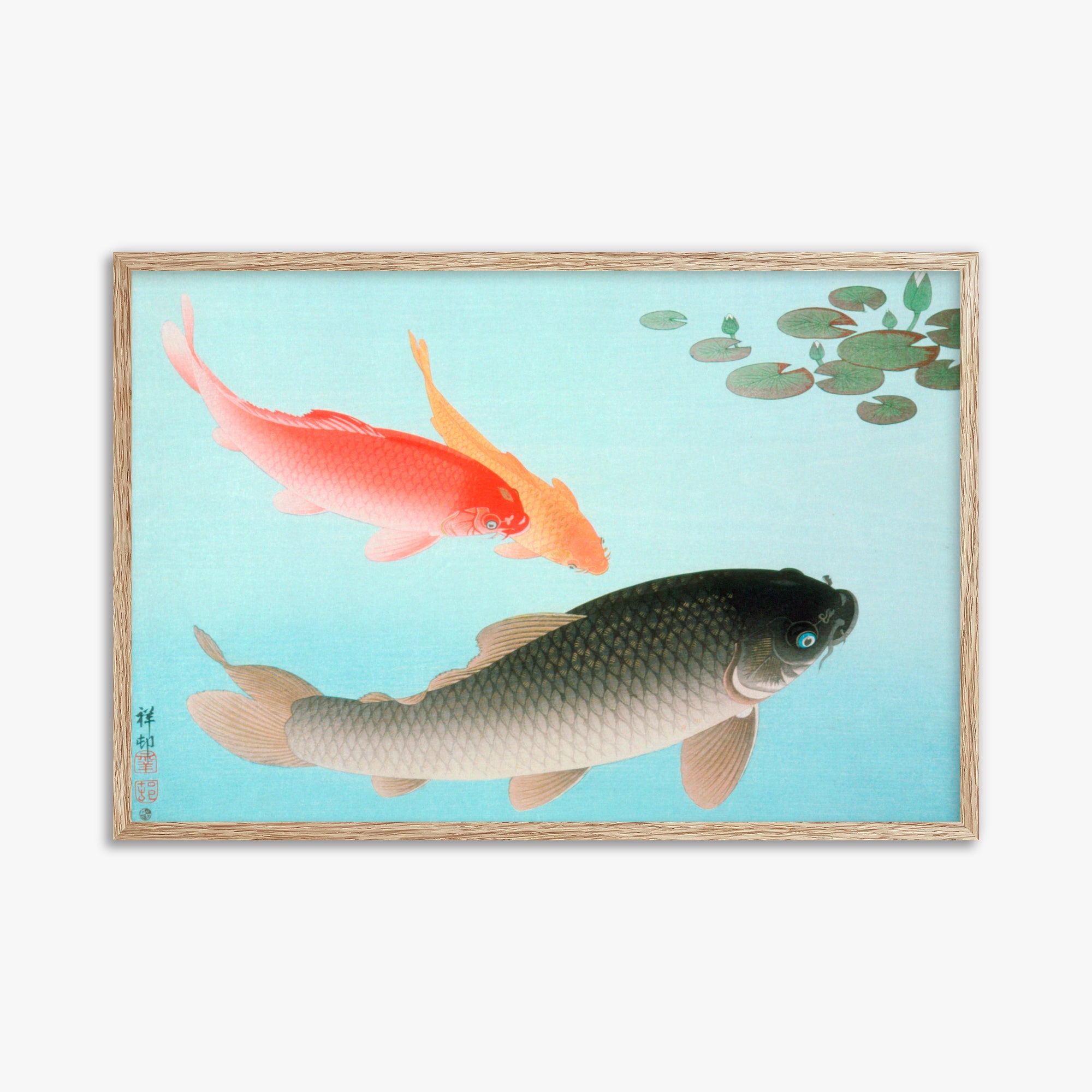 Ohara Koson: Common and Golden Carp, 61x91cm Framed Art Reproduction With Raw Oak Frame