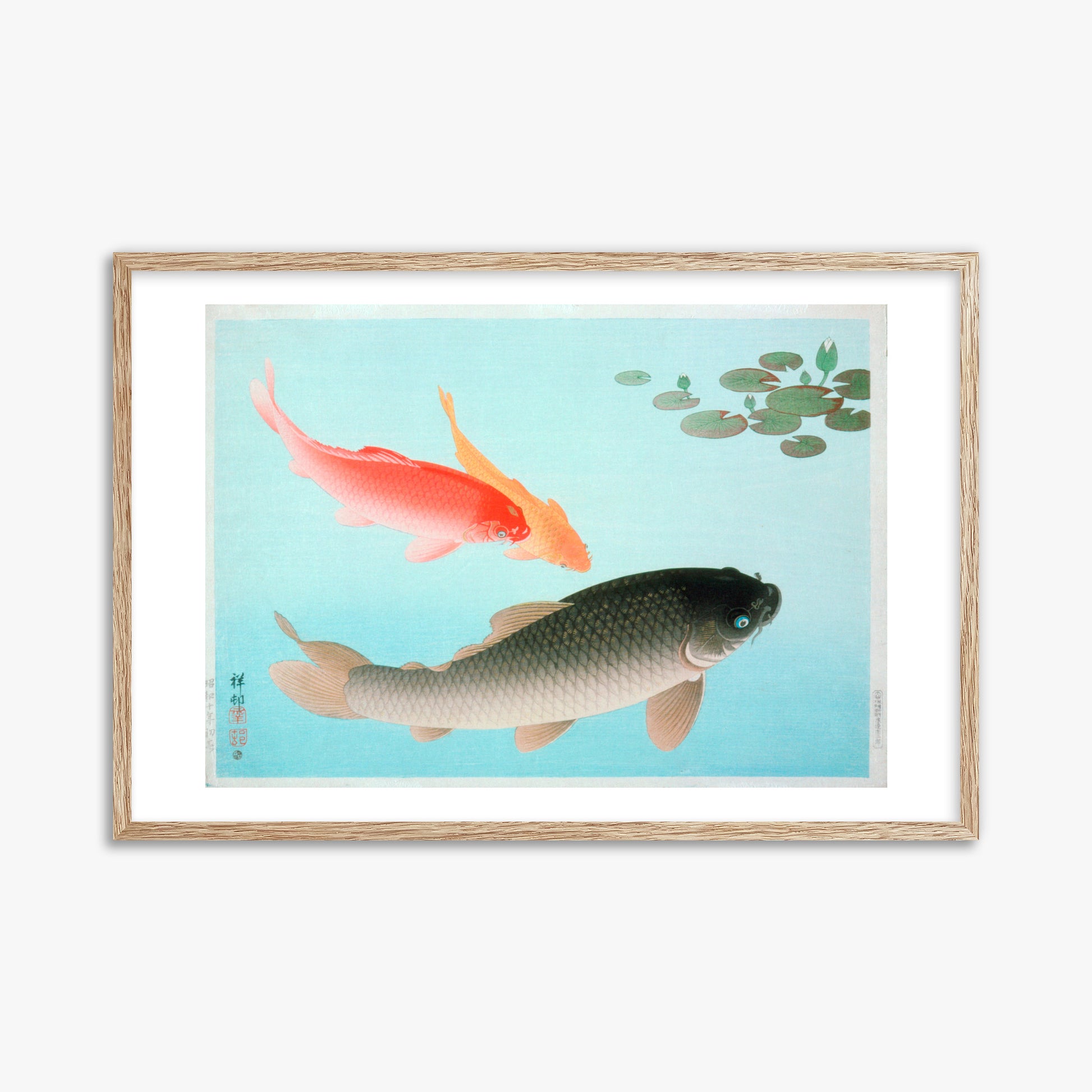 Ohara Koson: Common and Golden Carp, 61x91cm Framed Art Reproduction With Raw Oak Frame