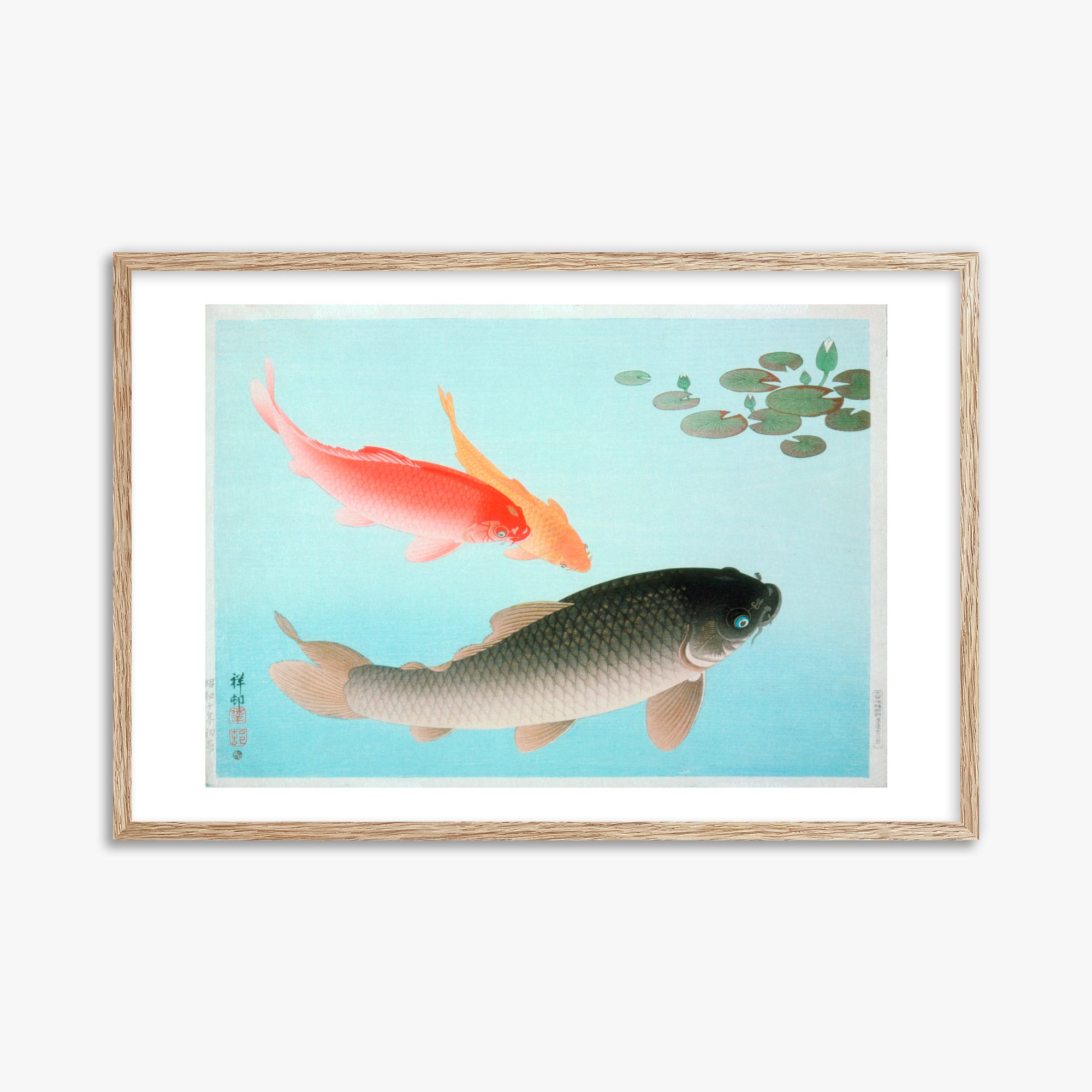 Ohara Koson: Common and Golden Carp, 61x91cm Framed Art Reproduction With Raw Oak Frame