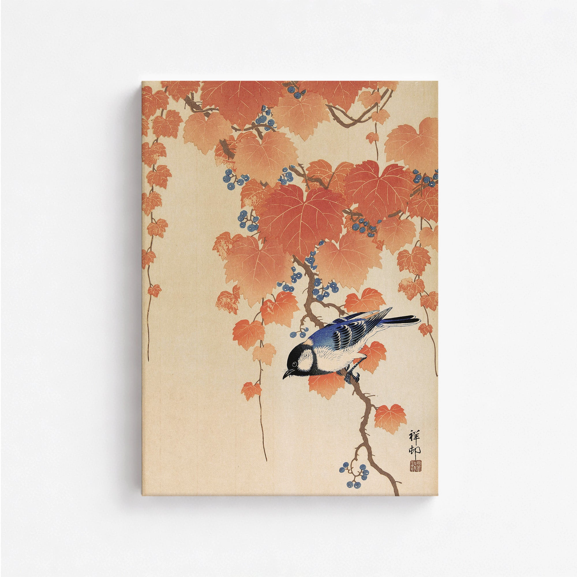 Grande mésange sur la branche de paulownia