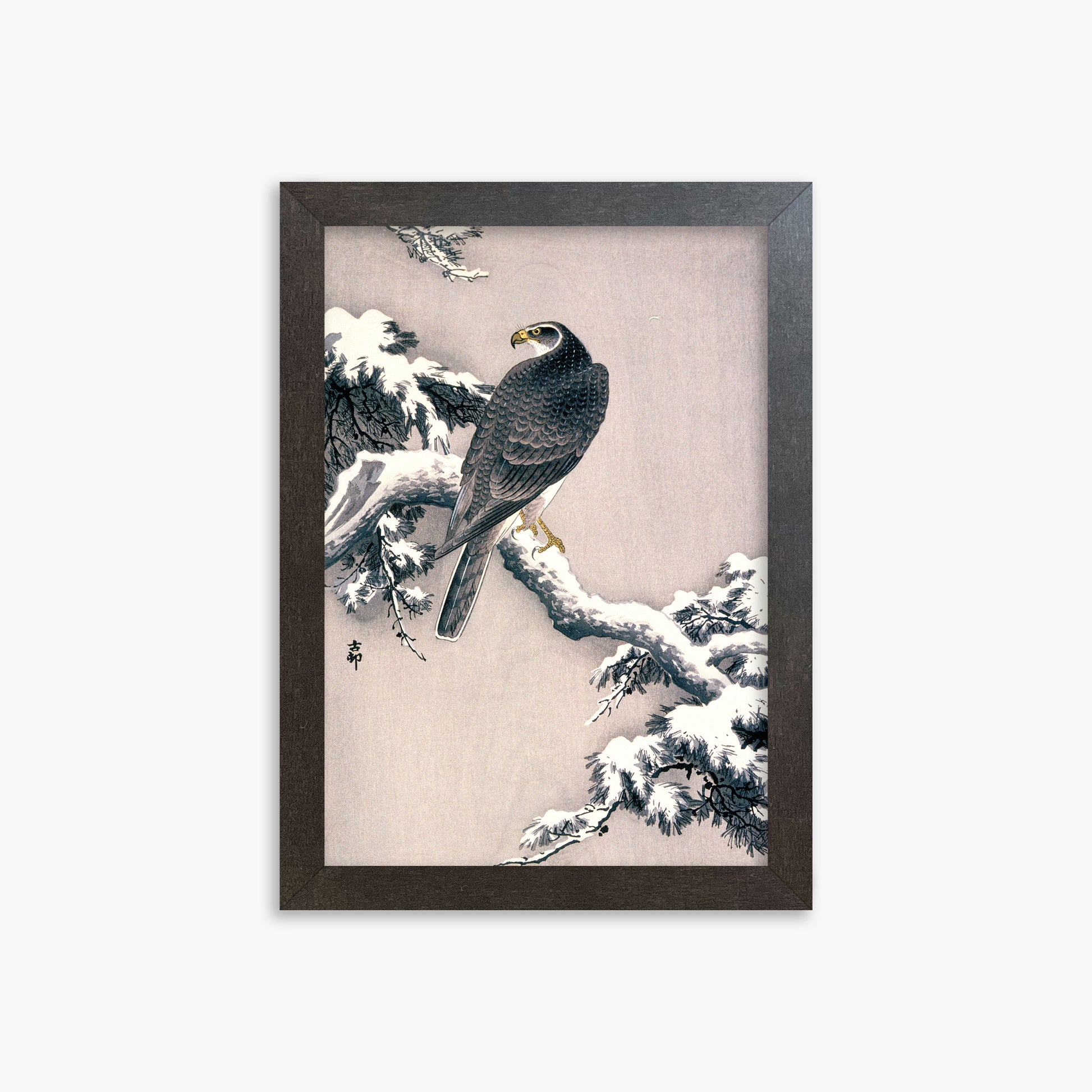 Ohara Koson: Goshawk on Snow-covered Pine Bough, 21x30cm Framed Art Reproduction With Espresso Frame