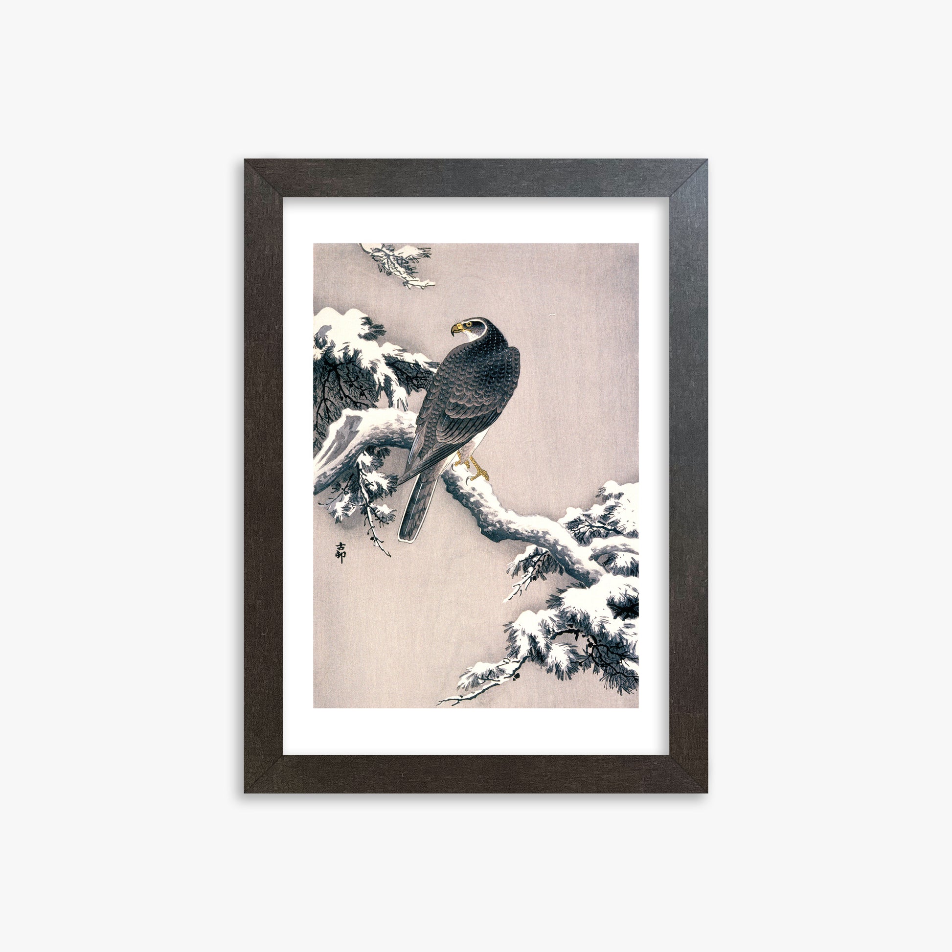 Ohara Koson: Goshawk on Snow-covered Pine Bough, 21x30cm Framed Art Reproduction With Espresso Frame