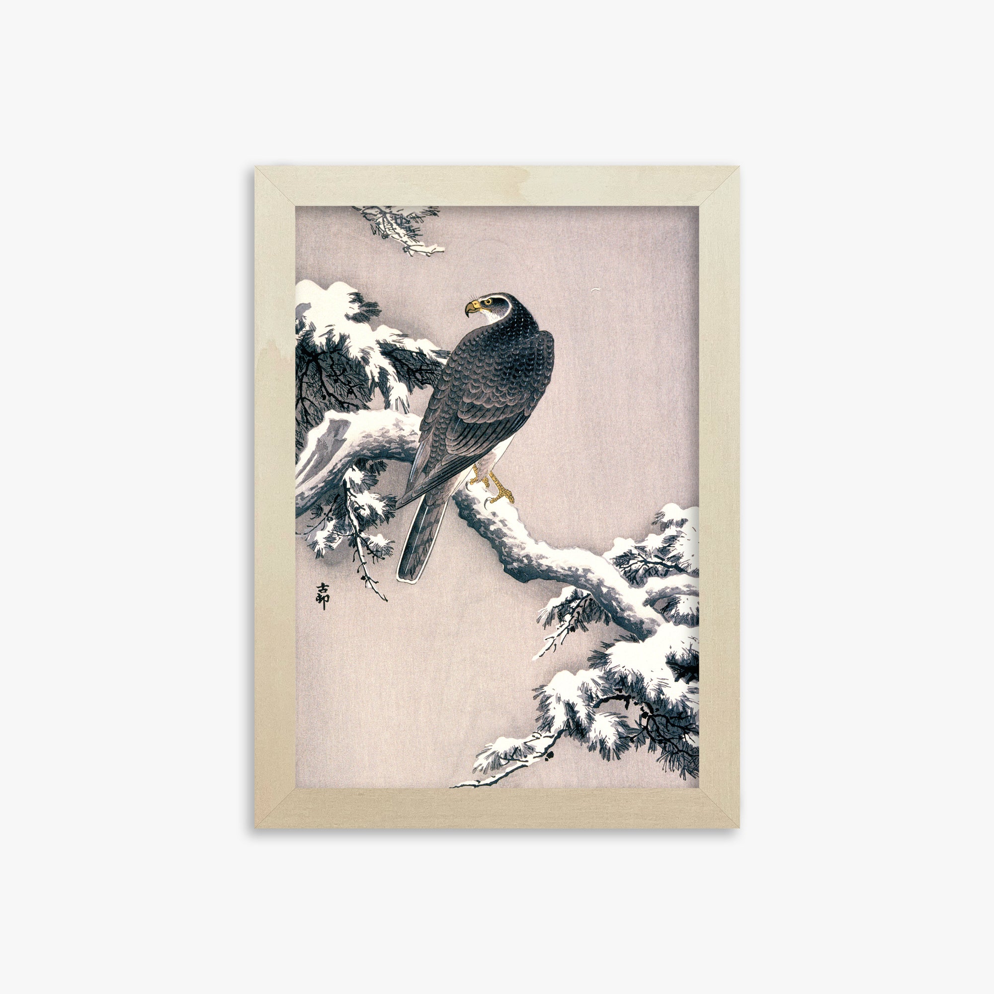Ohara Koson: Goshawk on Snow-covered Pine Bough, 21x30cm Framed Art Reproduction With Lime Wood Frame