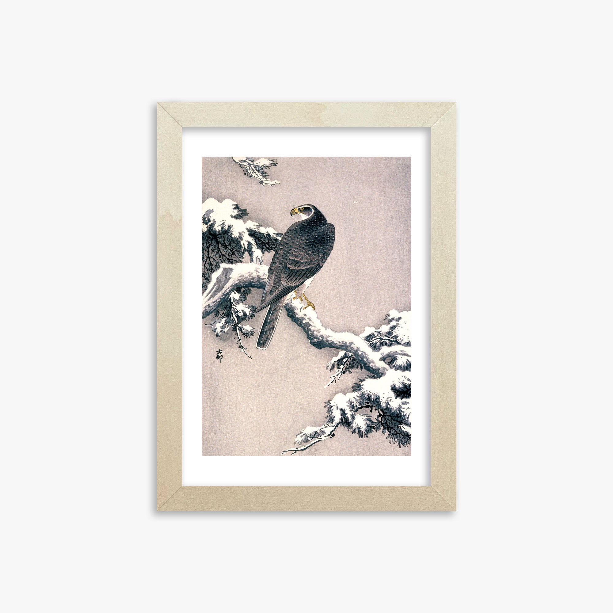 Ohara Koson: Goshawk on Snow-covered Pine Bough, 21x30cm Framed Art Reproduction With Lime Wood Frame