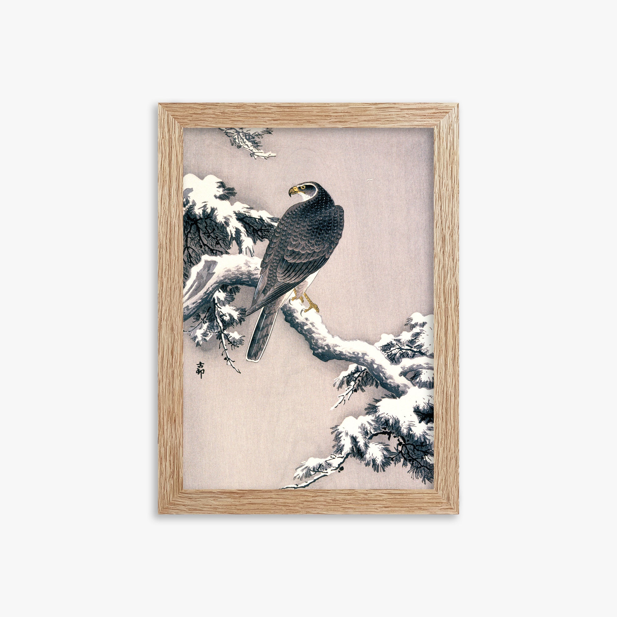 Ohara Koson: Goshawk on Snow-covered Pine Bough, 21x30cm Framed Art Reproduction With Raw Oak Frame