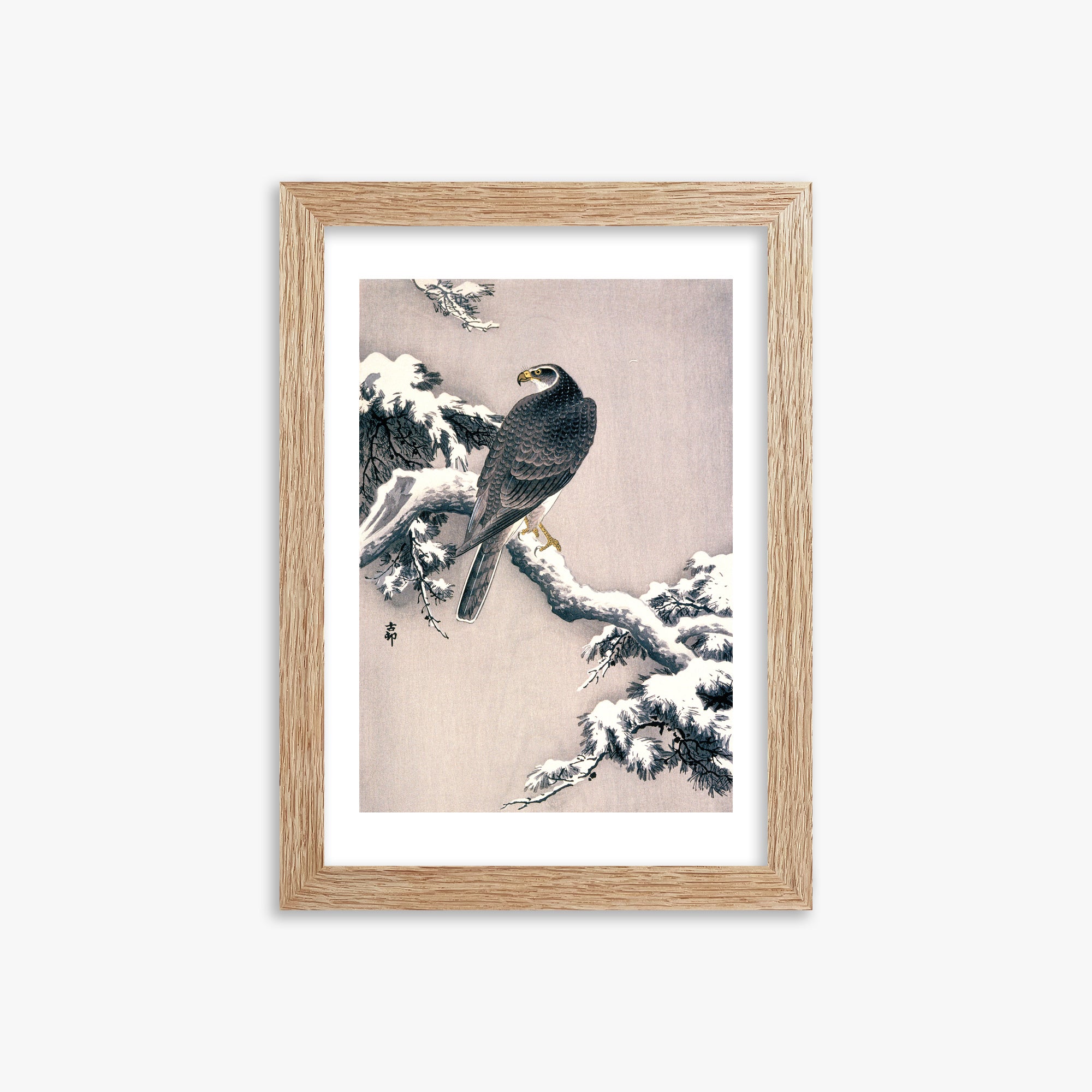 Ohara Koson: Goshawk on Snow-covered Pine Bough, 21x30cm Framed Art Reproduction With Raw Oak Frame