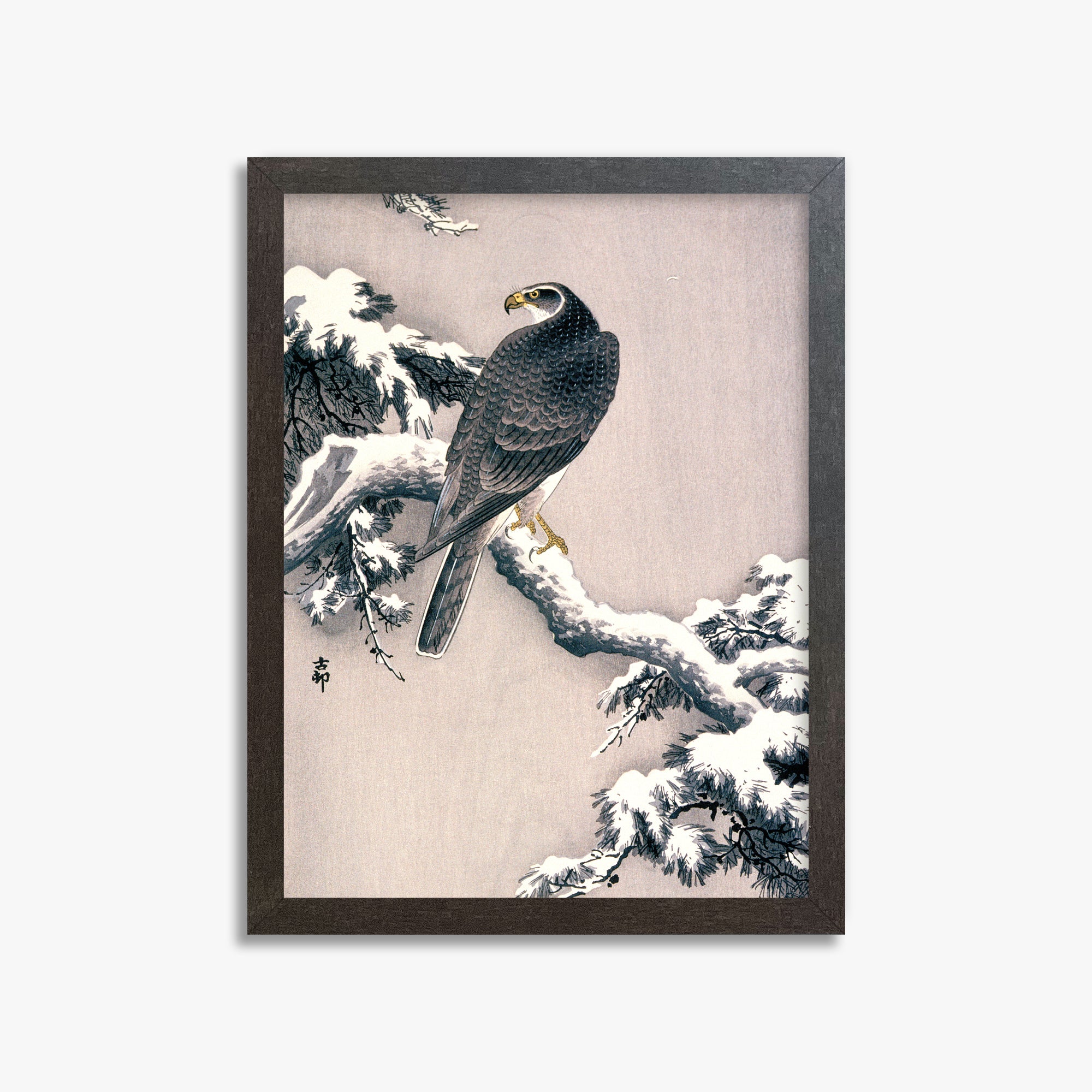 Ohara Koson: Goshawk on Snow-covered Pine Bough, 30x40cm Framed Art Reproduction With Espresso Frame