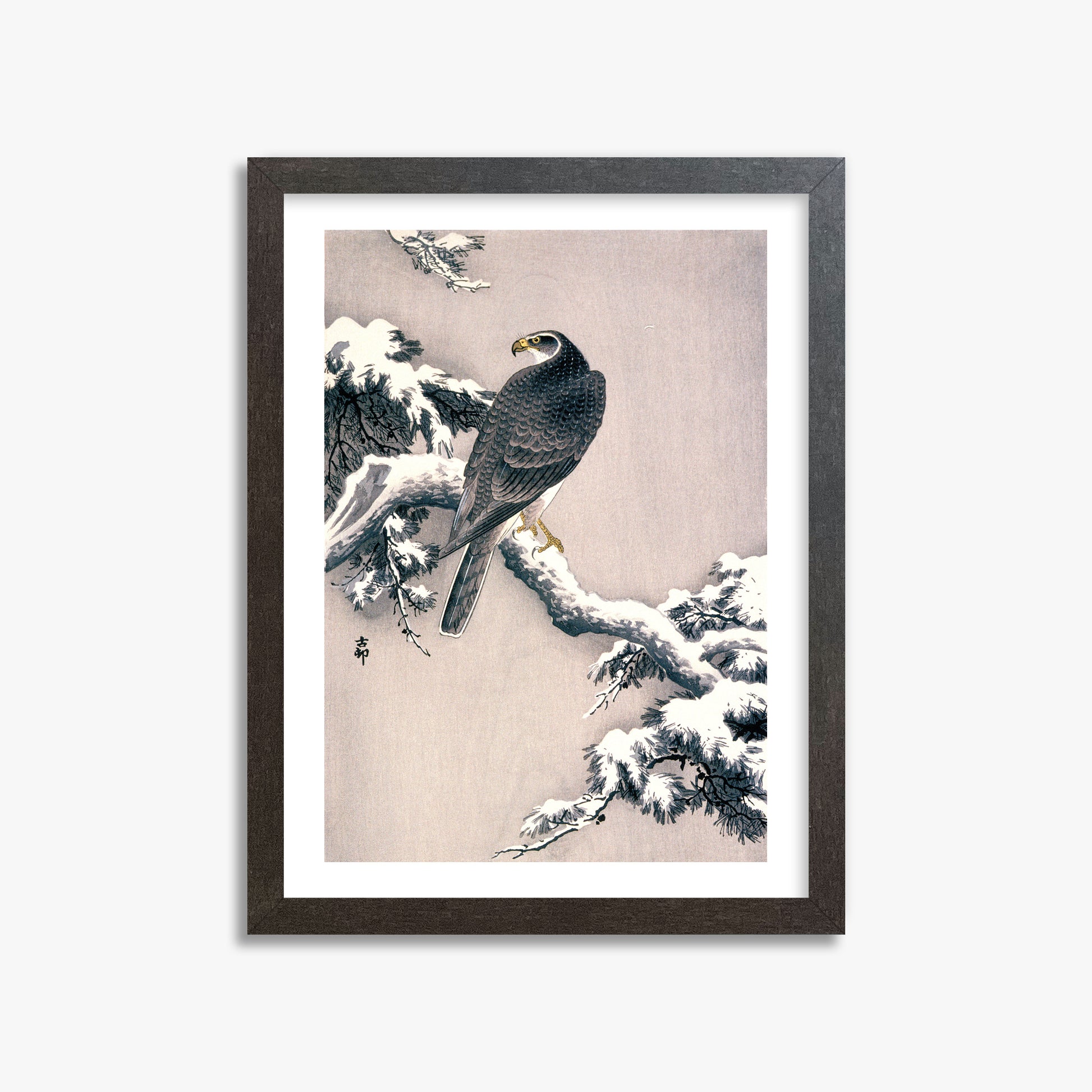 Ohara Koson: Goshawk on Snow-covered Pine Bough, 30x40cm Framed Art Reproduction With Espresso Frame