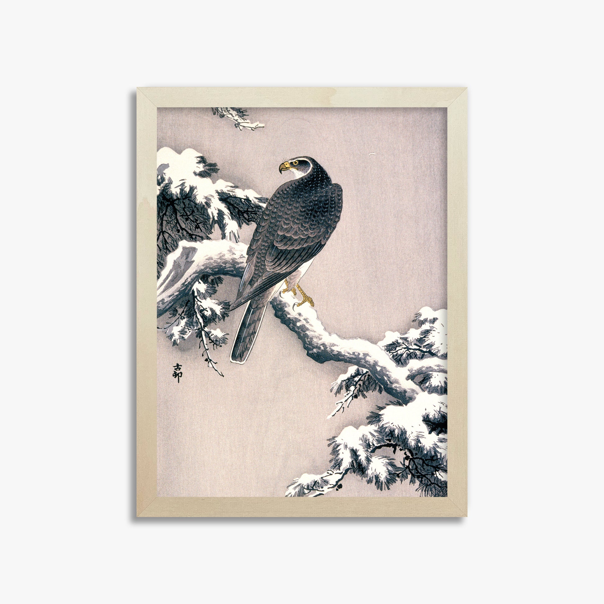 Ohara Koson: Goshawk on Snow-covered Pine Bough, 30x40cm Framed Art Reproduction With Lime Wood Frame
