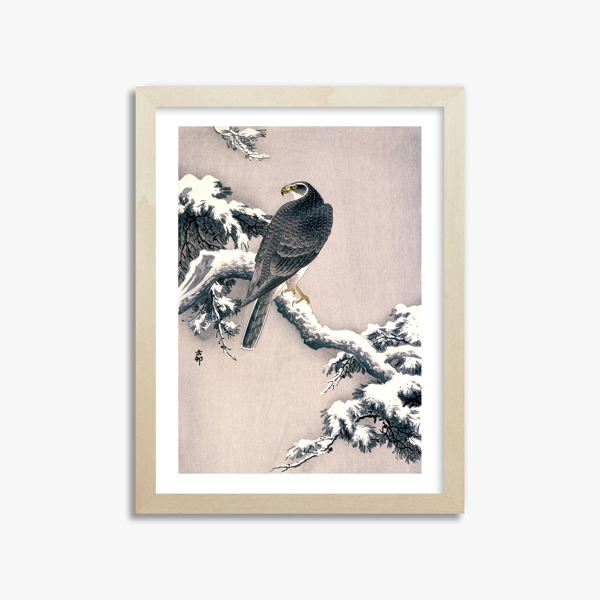 Ohara Koson: Goshawk on Snow-covered Pine Bough, 30x40cm Framed Art Reproduction With Lime Wood Frame