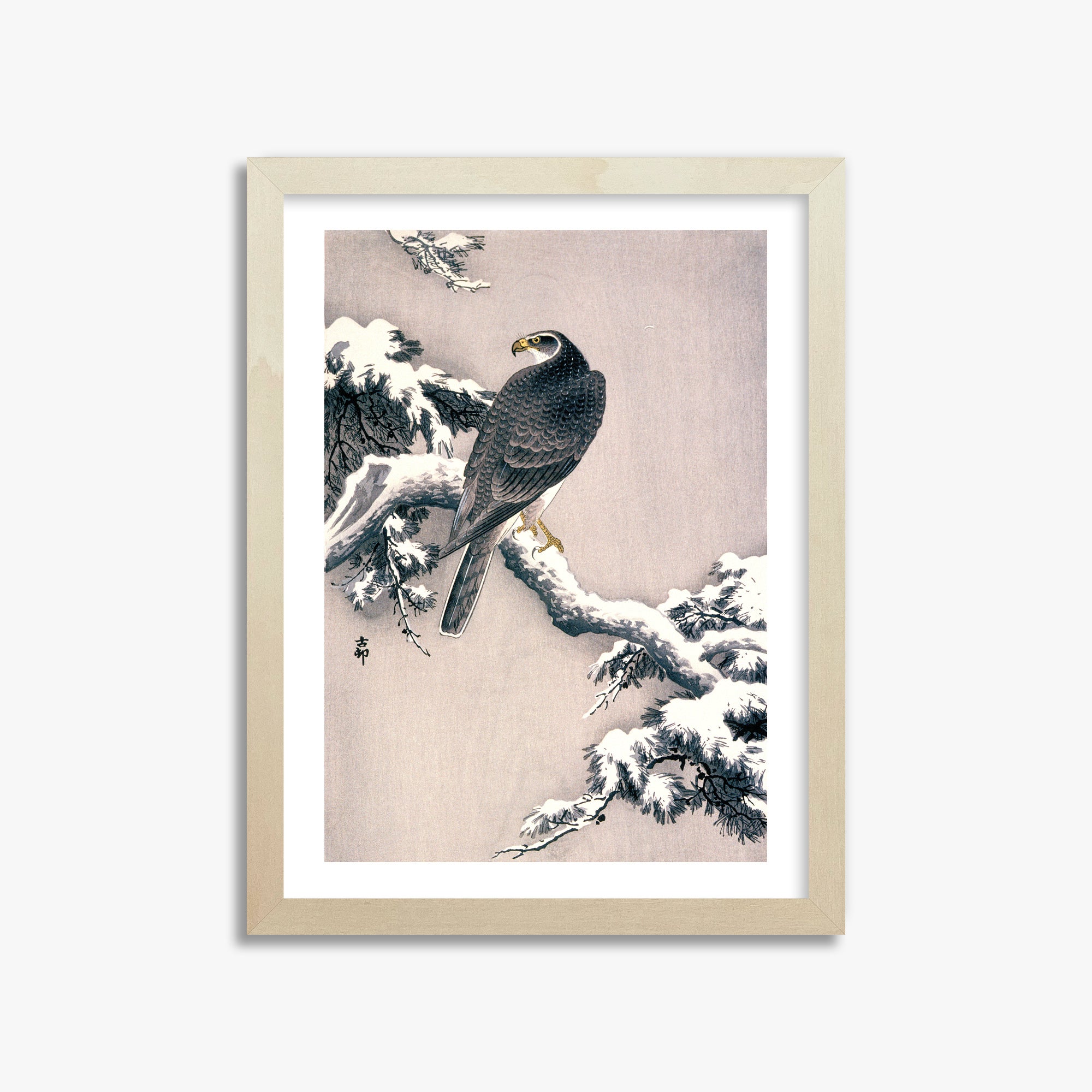 Ohara Koson: Goshawk on Snow-covered Pine Bough, 30x40cm Framed Art Reproduction With Lime Wood Frame