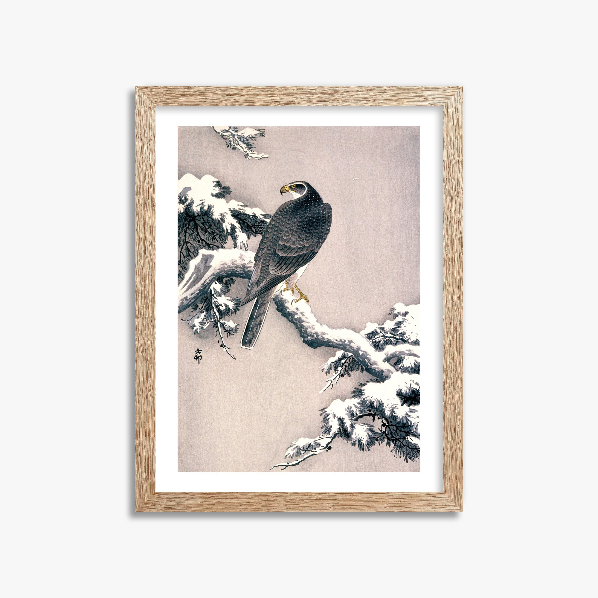 Ohara Koson: Goshawk on Snow-covered Pine Bough, 30x40cm Framed Art Reproduction With Raw Oak Frame