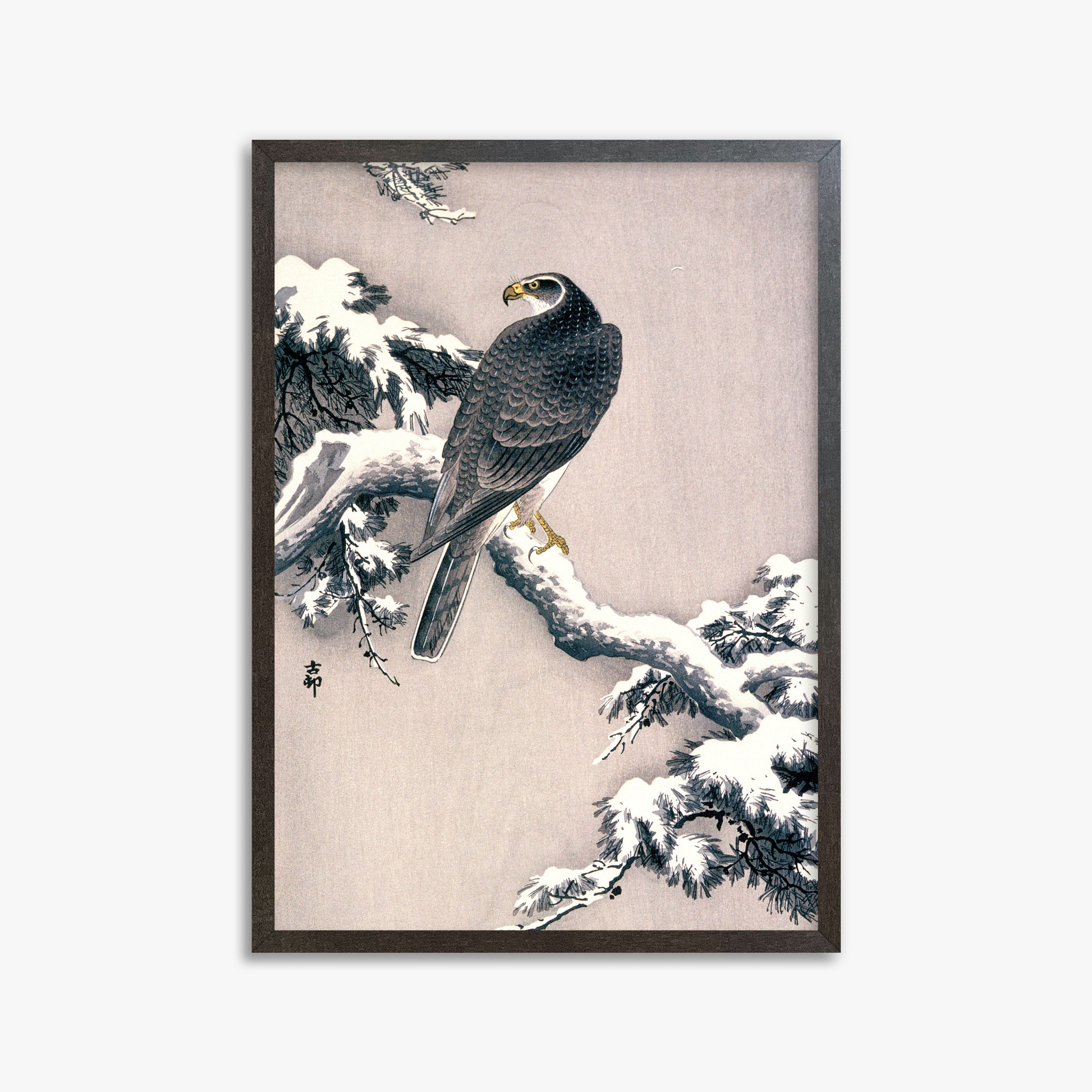 Ohara Koson: Goshawk on Snow-covered Pine Bough, 50x70cm Framed Art Reproduction With Espresso Frame