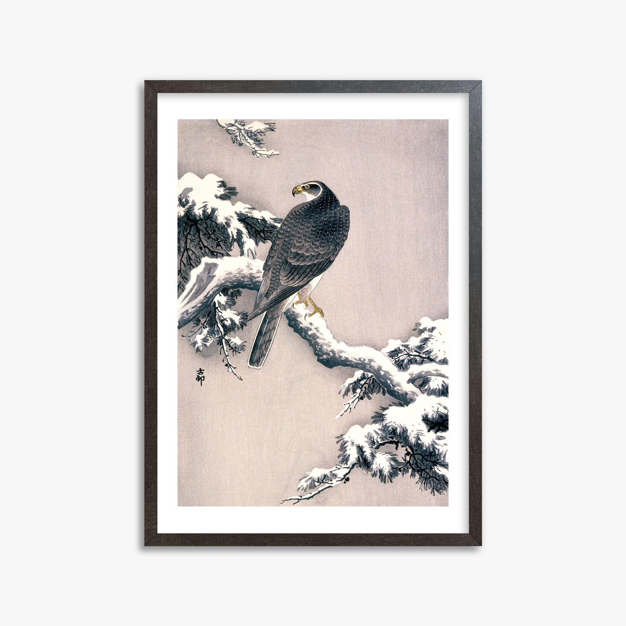 Ohara Koson: Goshawk on Snow-covered Pine Bough, 50x70cm Framed Art Reproduction With Espresso Frame