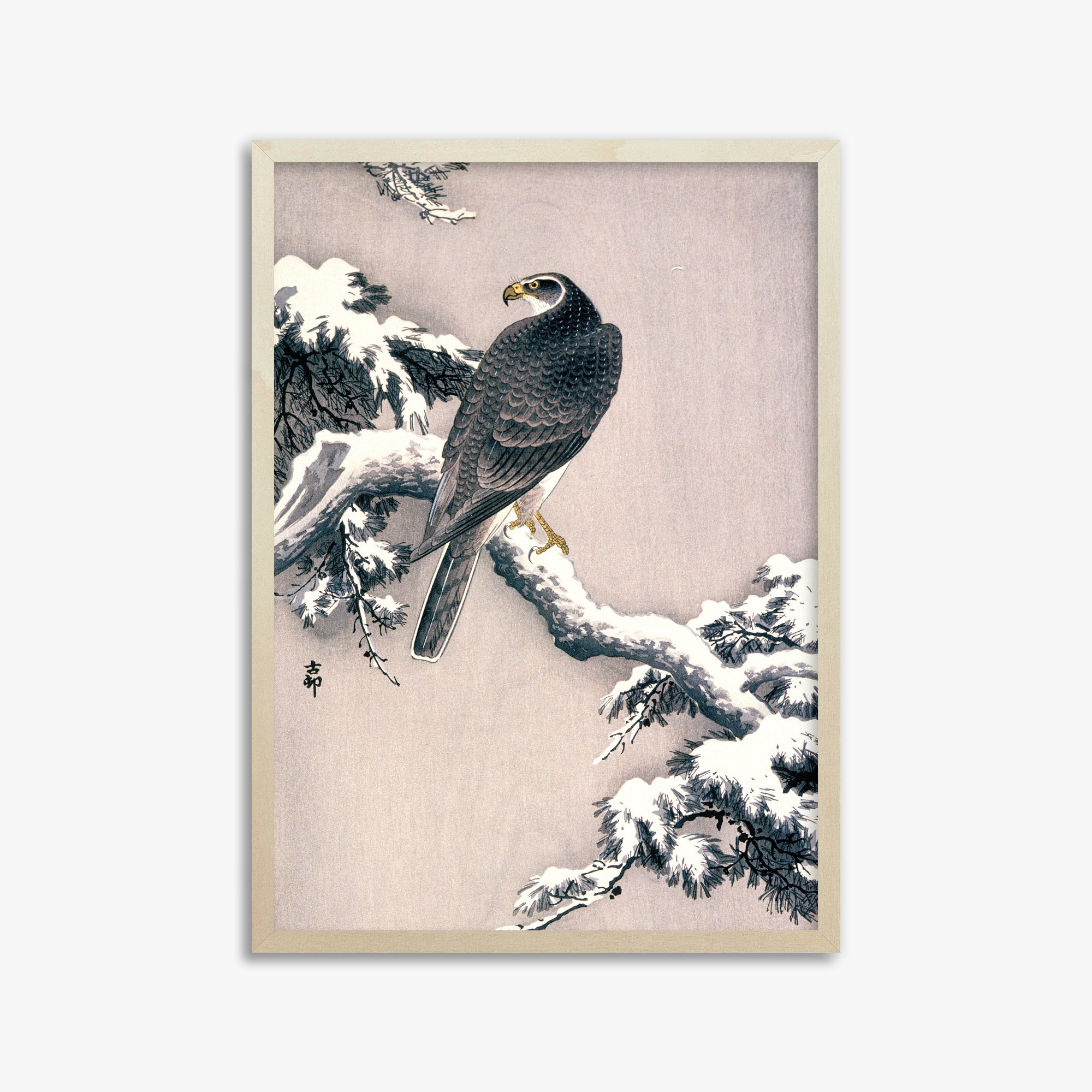 Ohara Koson: Goshawk on Snow-covered Pine Bough, 50x70cm Framed Art Reproduction With Lime Wood Frame