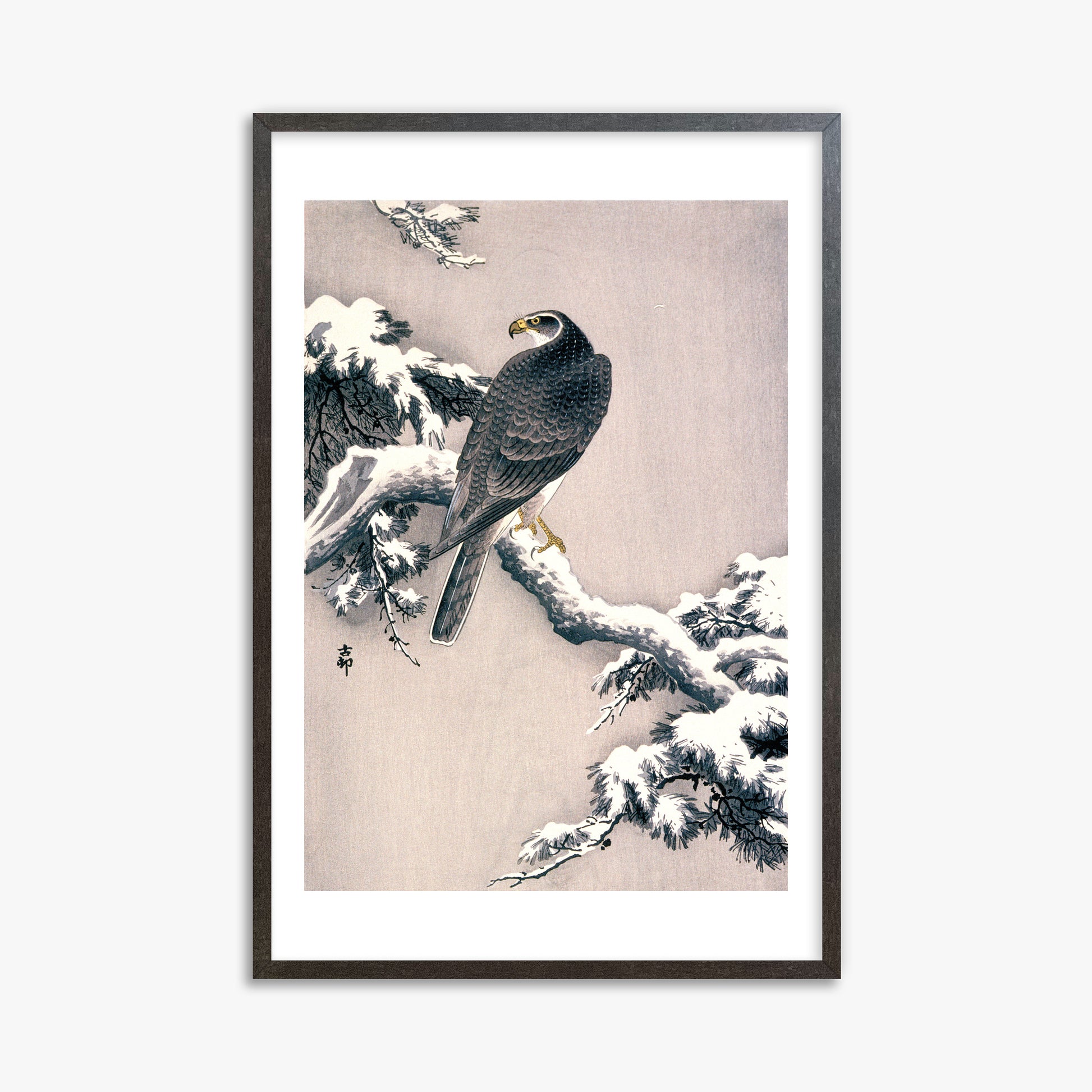 Ohara Koson: Goshawk on Snow-covered Pine Bough, 61x91cm Framed Art Reproduction With Espresso Frame