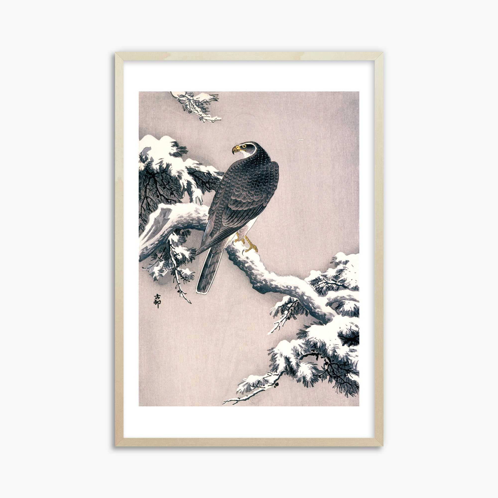 Ohara Koson: Goshawk on Snow-covered Pine Bough, 61x91cm Framed Art Reproduction With Lime Wood Frame