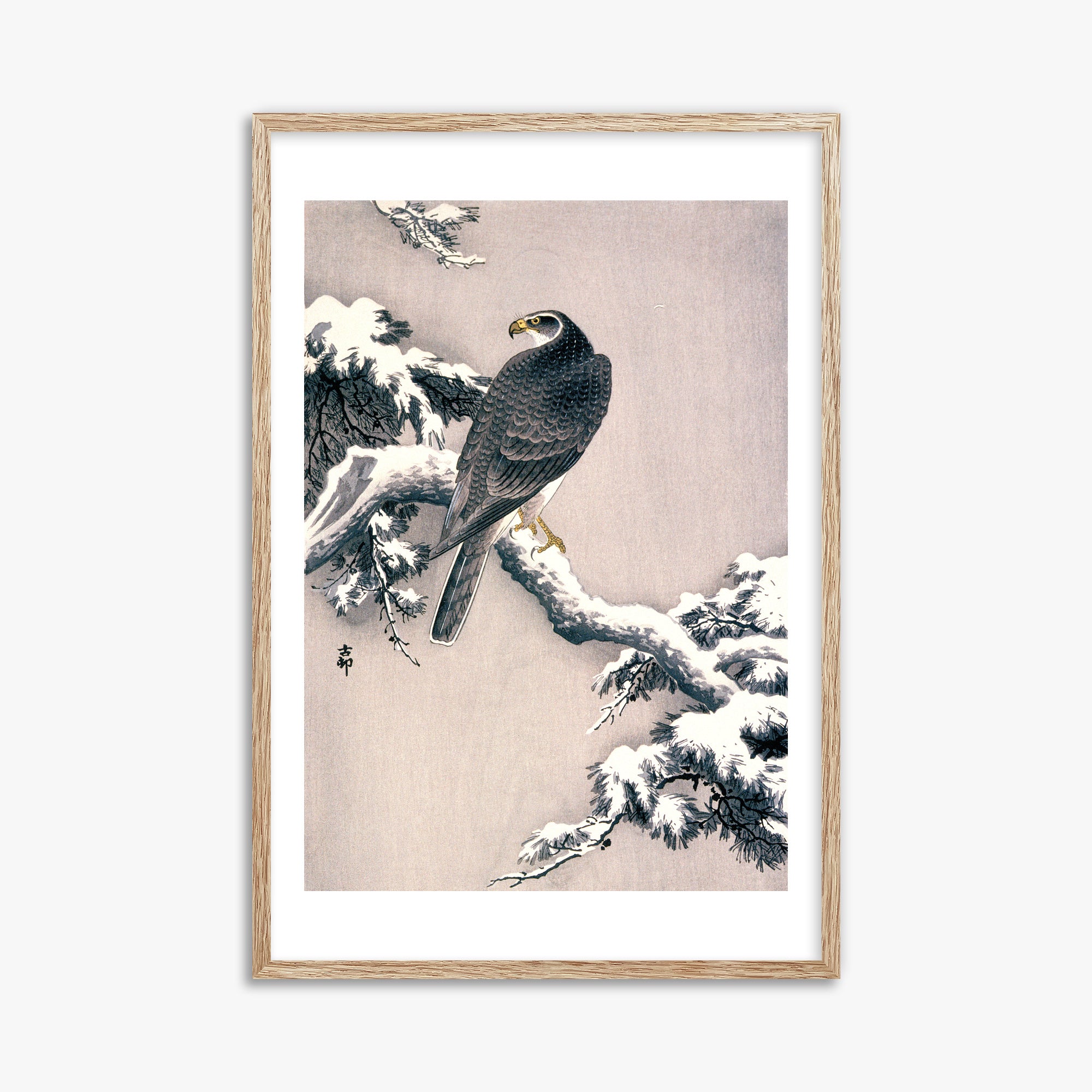 Ohara Koson: Goshawk on Snow-covered Pine Bough, 61x91cm Framed Art Reproduction With Raw Oak Frame