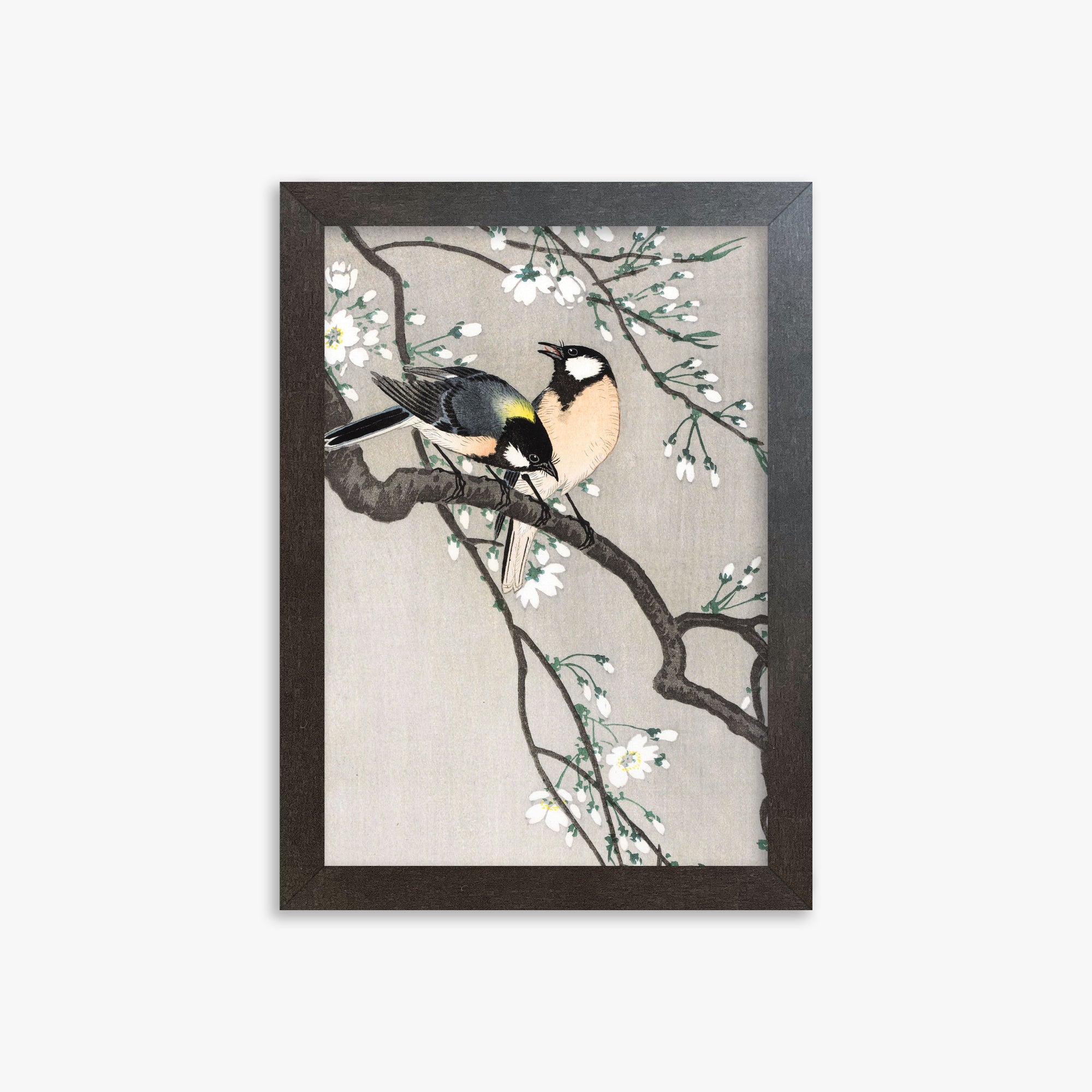 Ohara Koson: Tits on Cherry Branch, 21x30cm Framed Art Reproduction With Espresso Frame