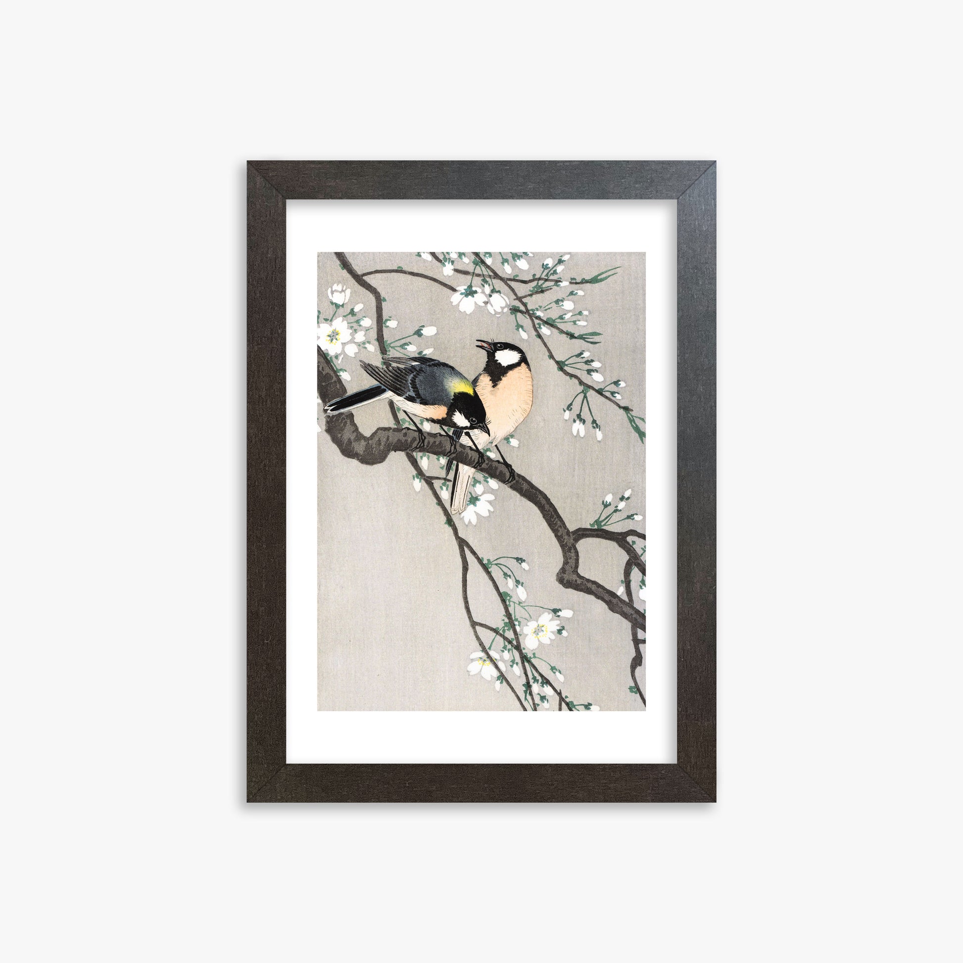 Ohara Koson: Tits on Cherry Branch, 21x30cm Framed Art Reproduction With Espresso Frame