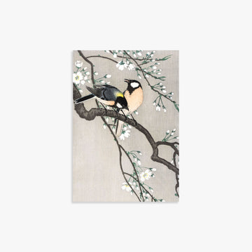 Ohara Koson: Tits on Cherry Branch, 21x30cm Art Reproduction Unframed