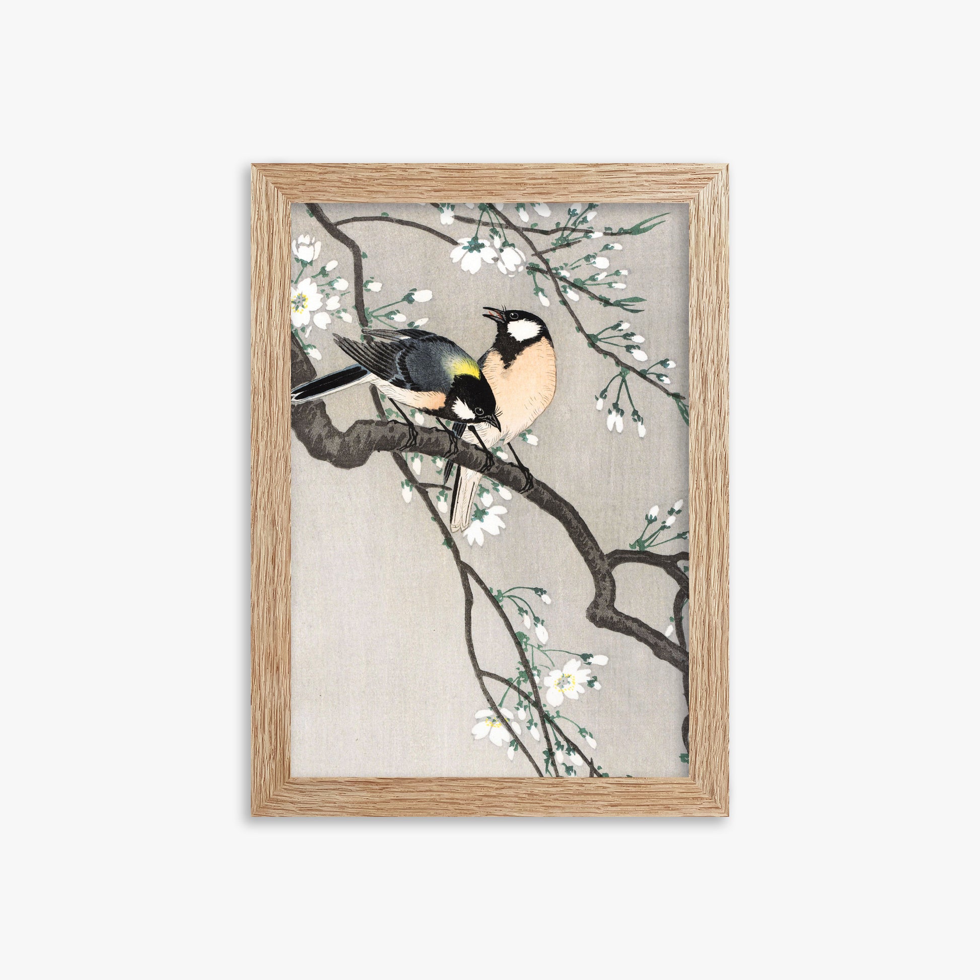 Ohara Koson: Tits on Cherry Branch, 21x30cm Framed Art Reproduction With Raw Oak Frame
