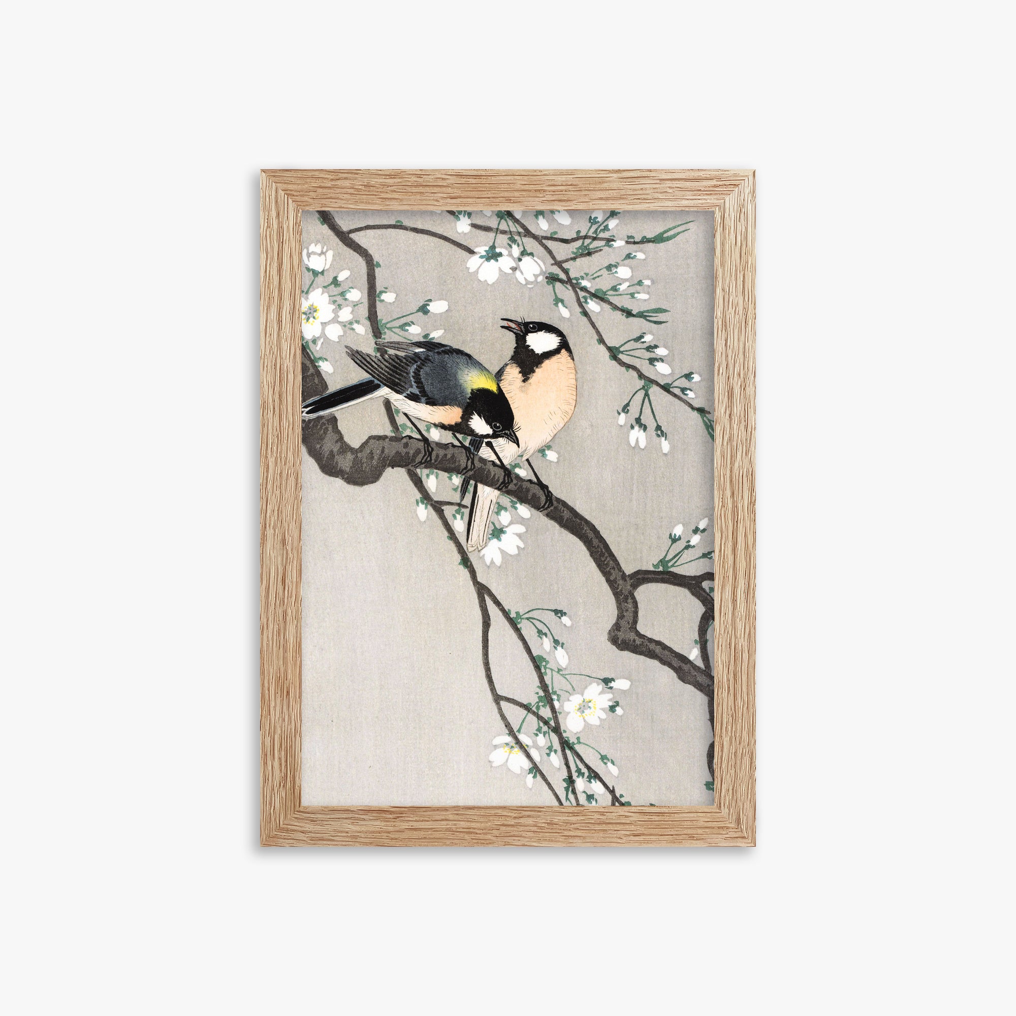 Ohara Koson: Tits on Cherry Branch, 21x30cm Framed Art Reproduction With Raw Oak Frame