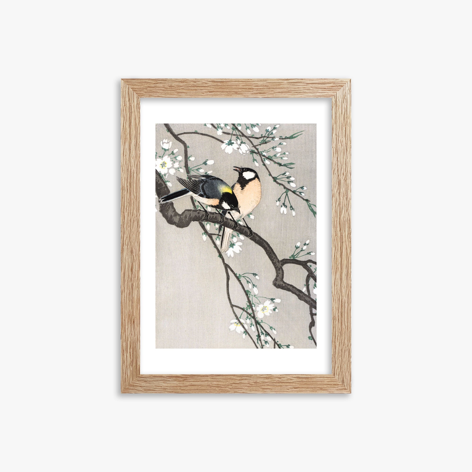 Ohara Koson: Tits on Cherry Branch, 21x30cm Framed Art Reproduction With Raw Oak Frame
