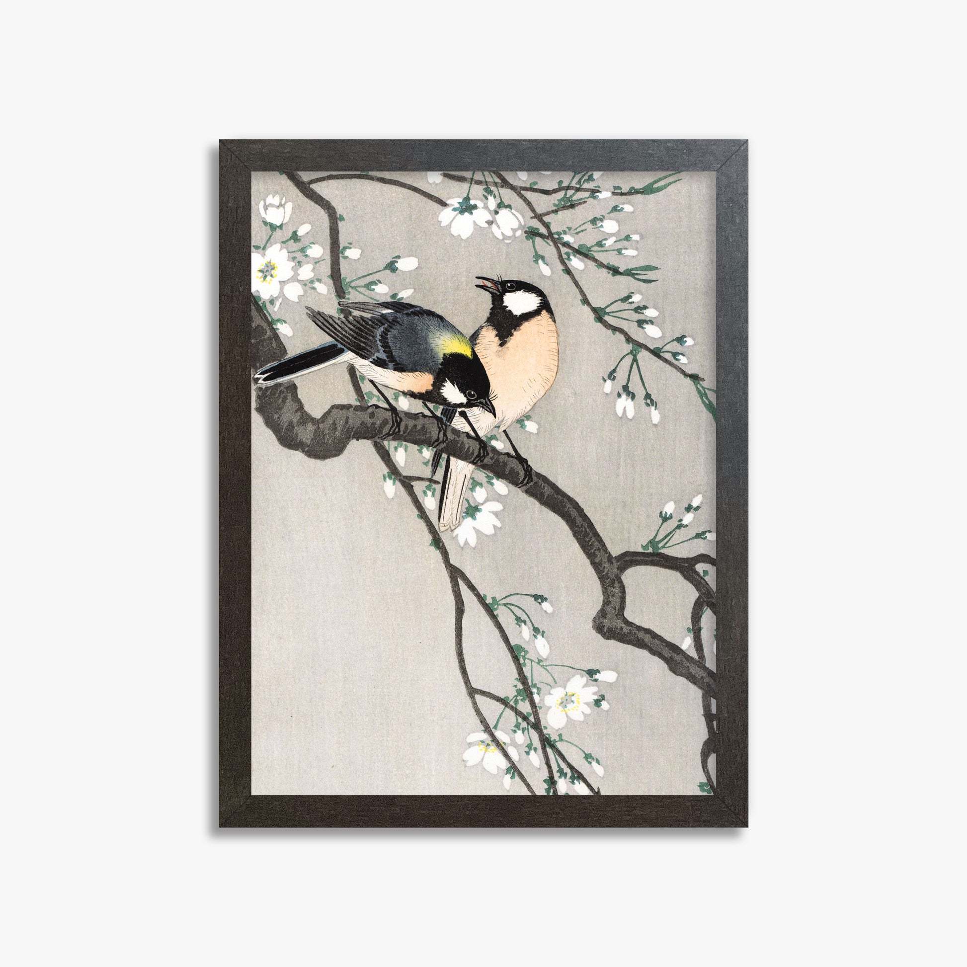 Ohara Koson: Tits on Cherry Branch, 30x40cm Framed Art Reproduction With Espresso Frame