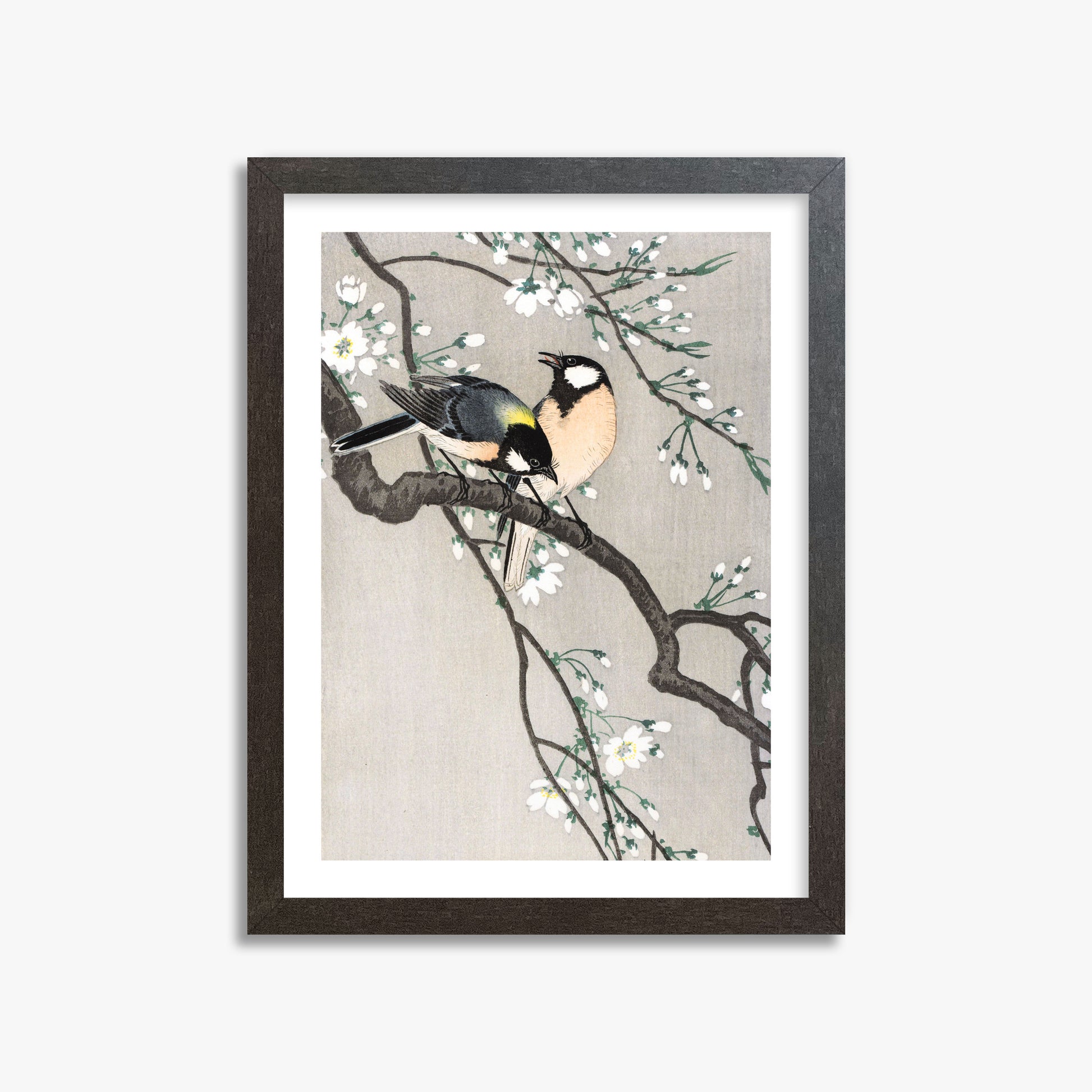 Ohara Koson: Tits on Cherry Branch, 30x40cm Framed Art Reproduction With Espresso Frame