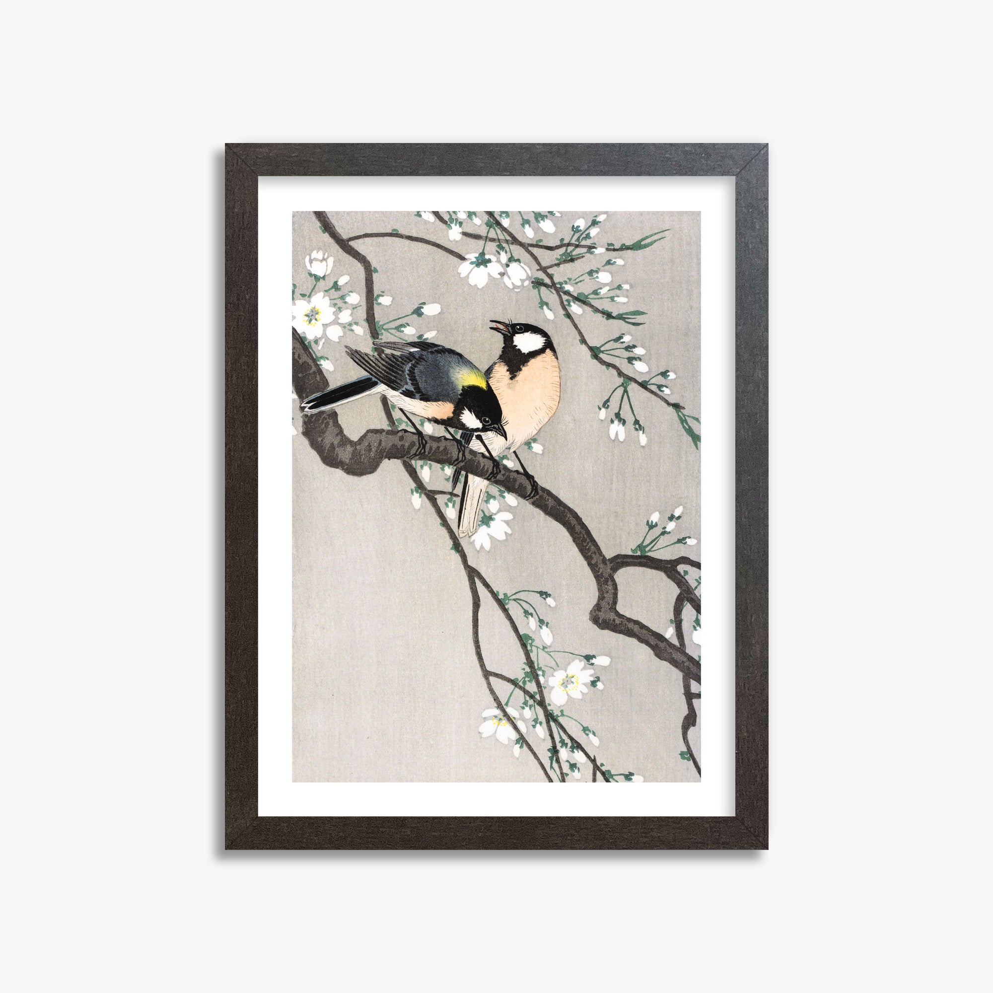 Ohara Koson: Tits on Cherry Branch, 30x40cm Framed Art Reproduction With Espresso Frame