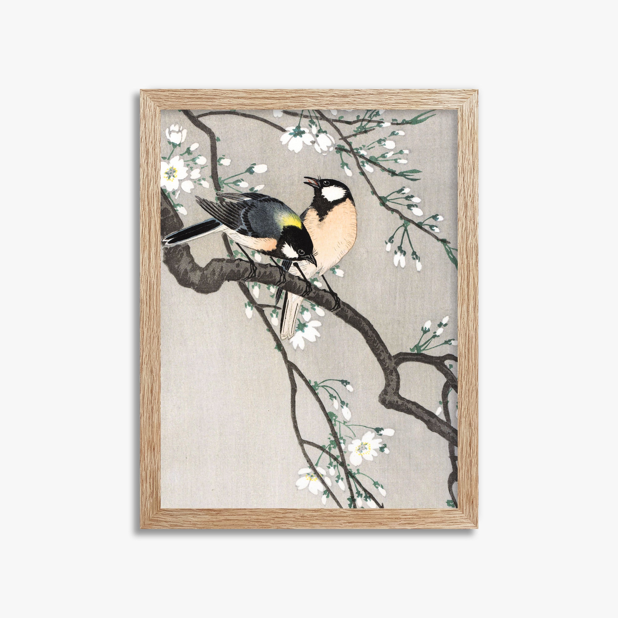 Ohara Koson: Tits on Cherry Branch, 30x40cm Framed Art Reproduction With Raw Oak Frame