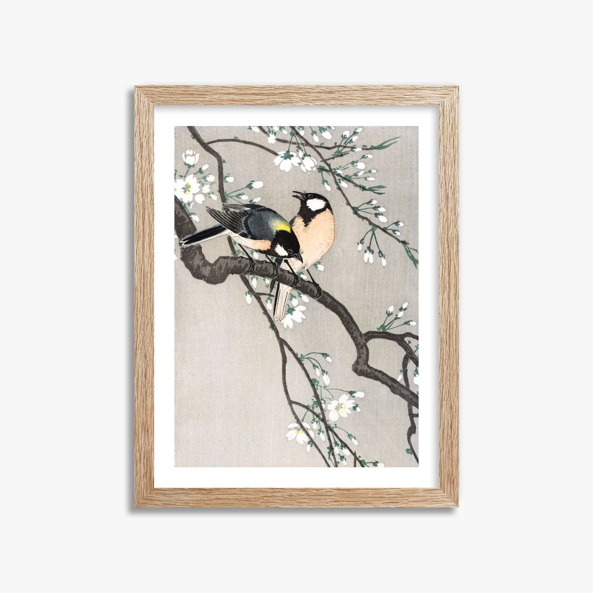 Ohara Koson: Tits on Cherry Branch, 30x40cm Framed Art Reproduction With Raw Oak Frame