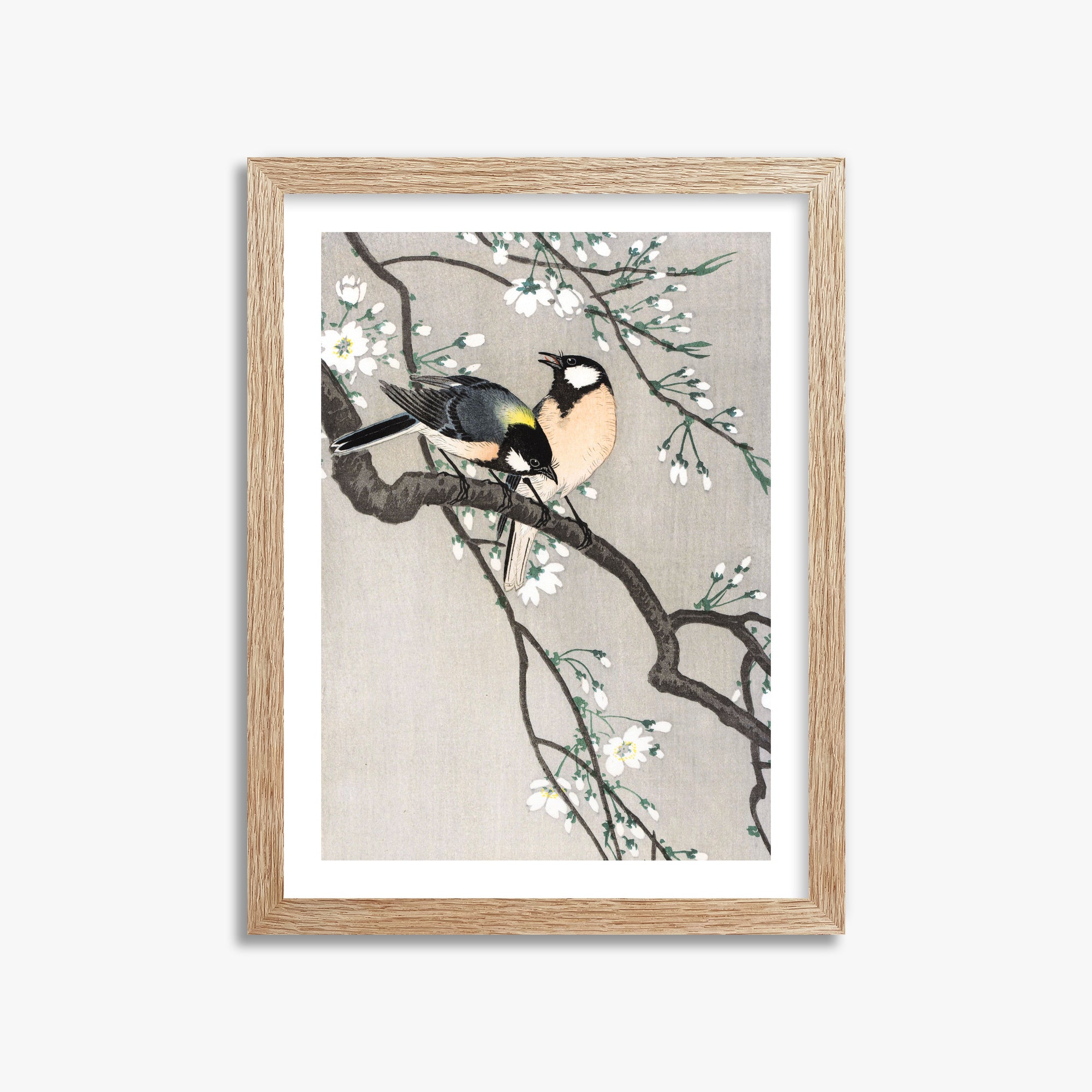Ohara Koson: Tits on Cherry Branch, 30x40cm Framed Art Reproduction With Raw Oak Frame