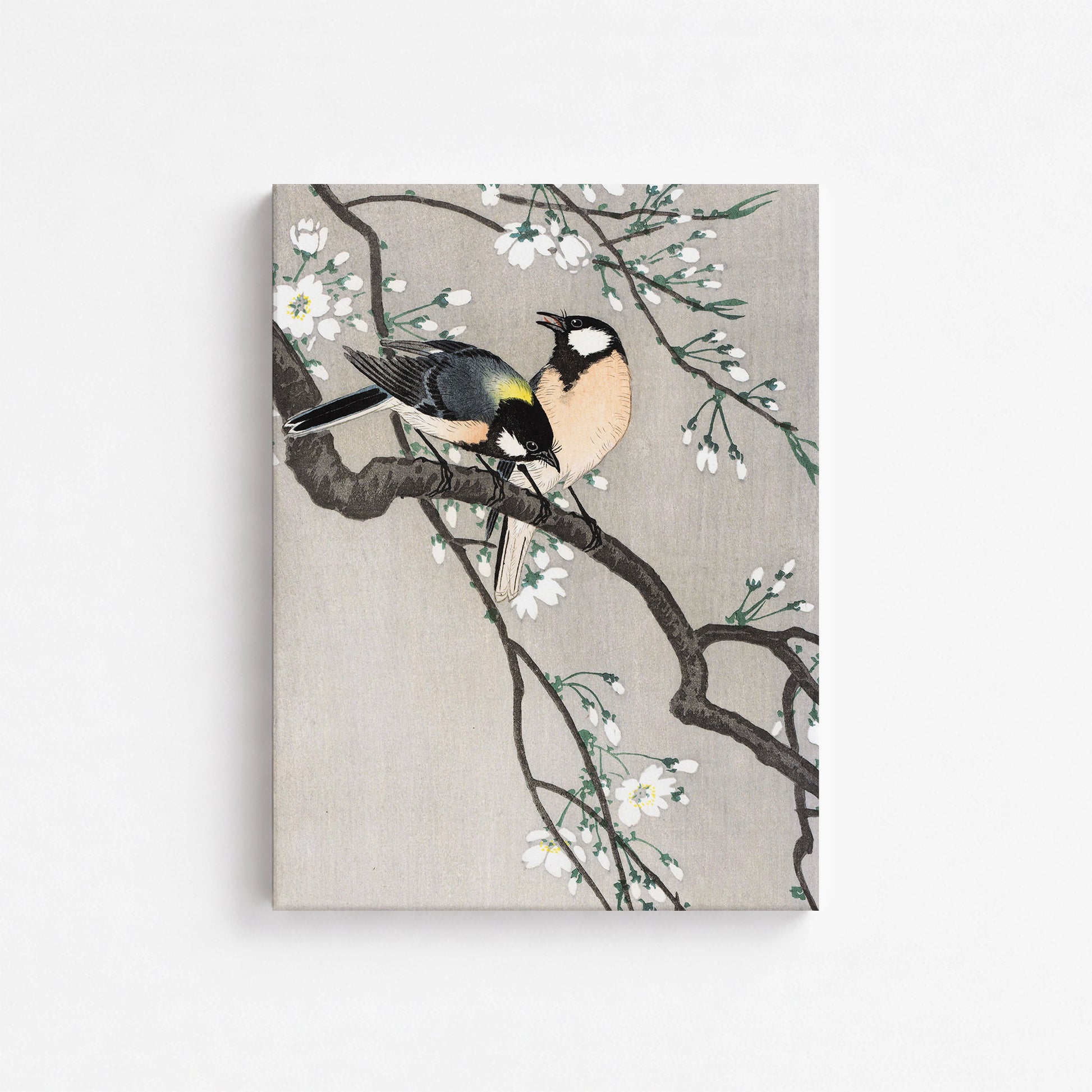 Ohara Koson: Tits on Cherry Branch, 30x40cm Satin Canvas Art Reproduction